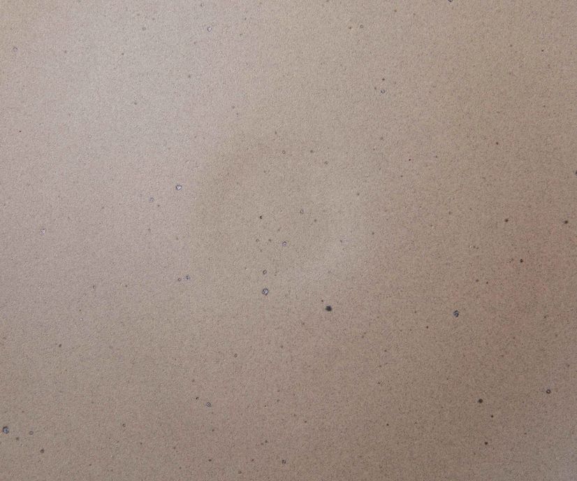 A closeup of a ceramic plate in a warm, pale brown color featuring iron speckles