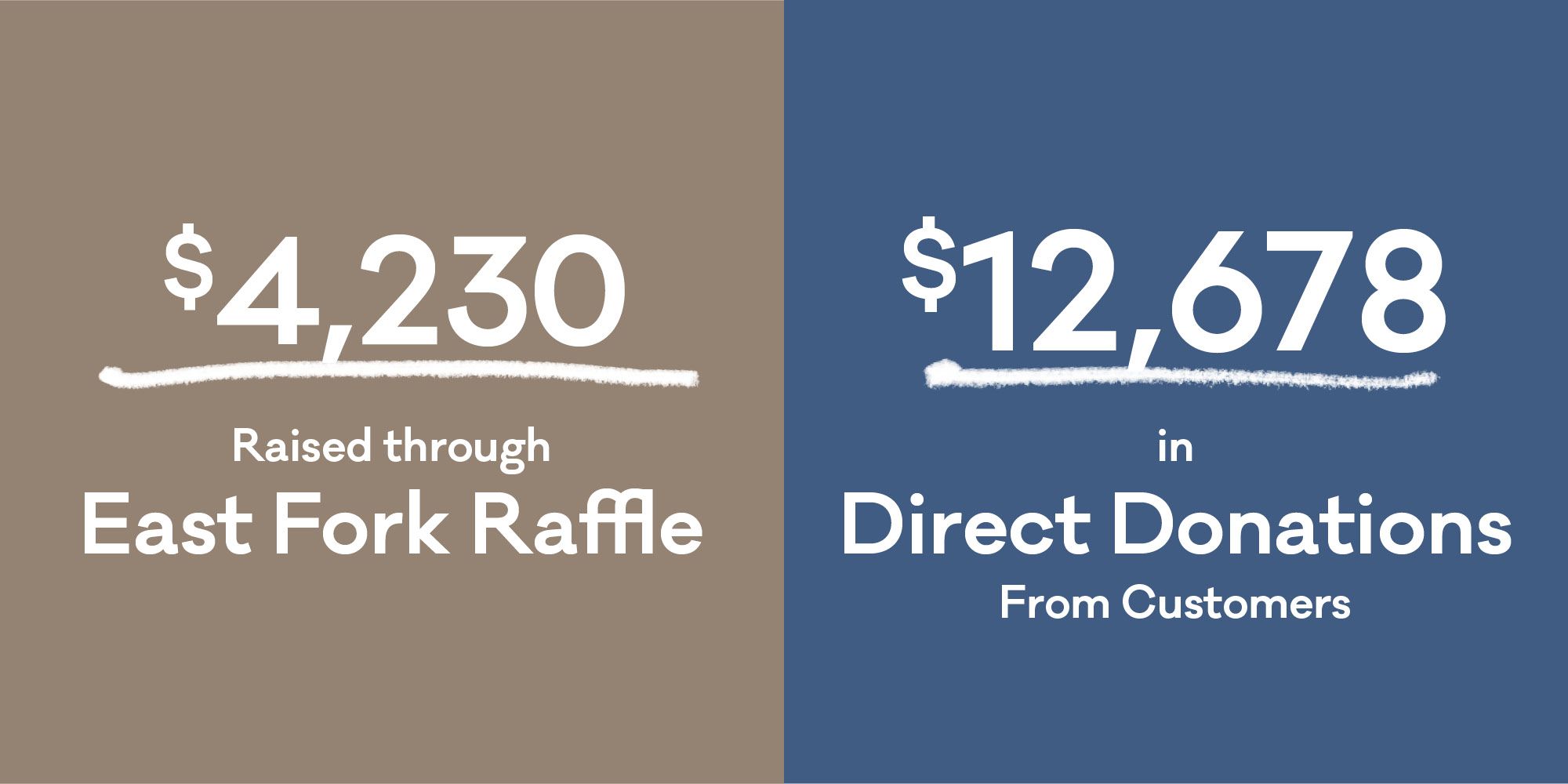 Graphic showing donations made to Asheville Buncombe Community Land Trust through a raffle and direct donations