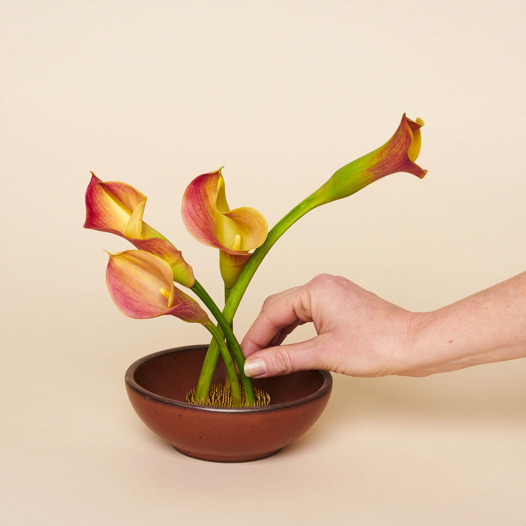 A hand placing a flower on a medium "kenzan" - pin frog made of brass spikes on a flat circular base to assist in flower arrangements - sitting inside a breakfast bowl