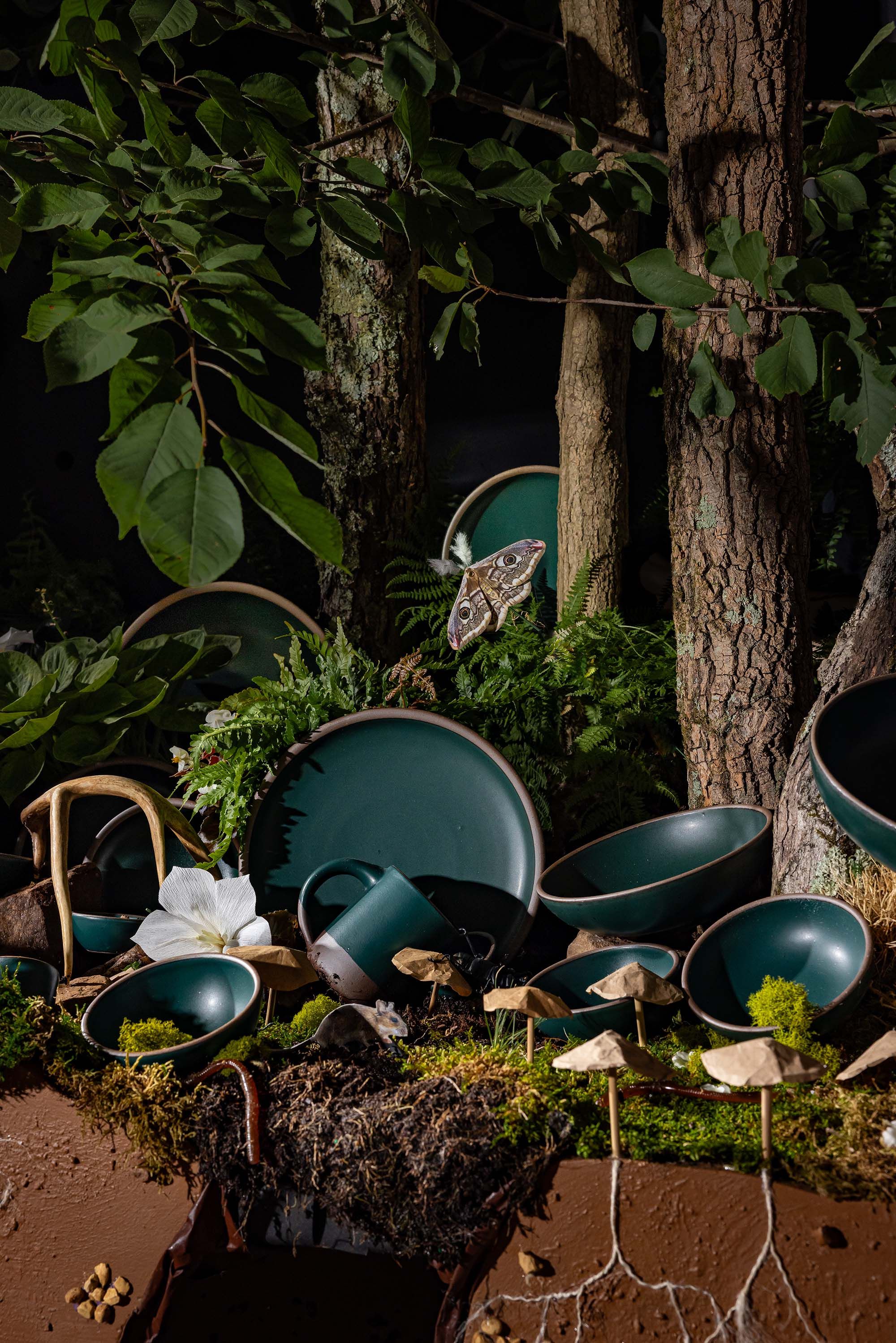 A dark forest set environment that shows off above and below the earth. Above the earth is tree bark, ferns, moss and various ceramic plates and bowls in a deep dark teal.