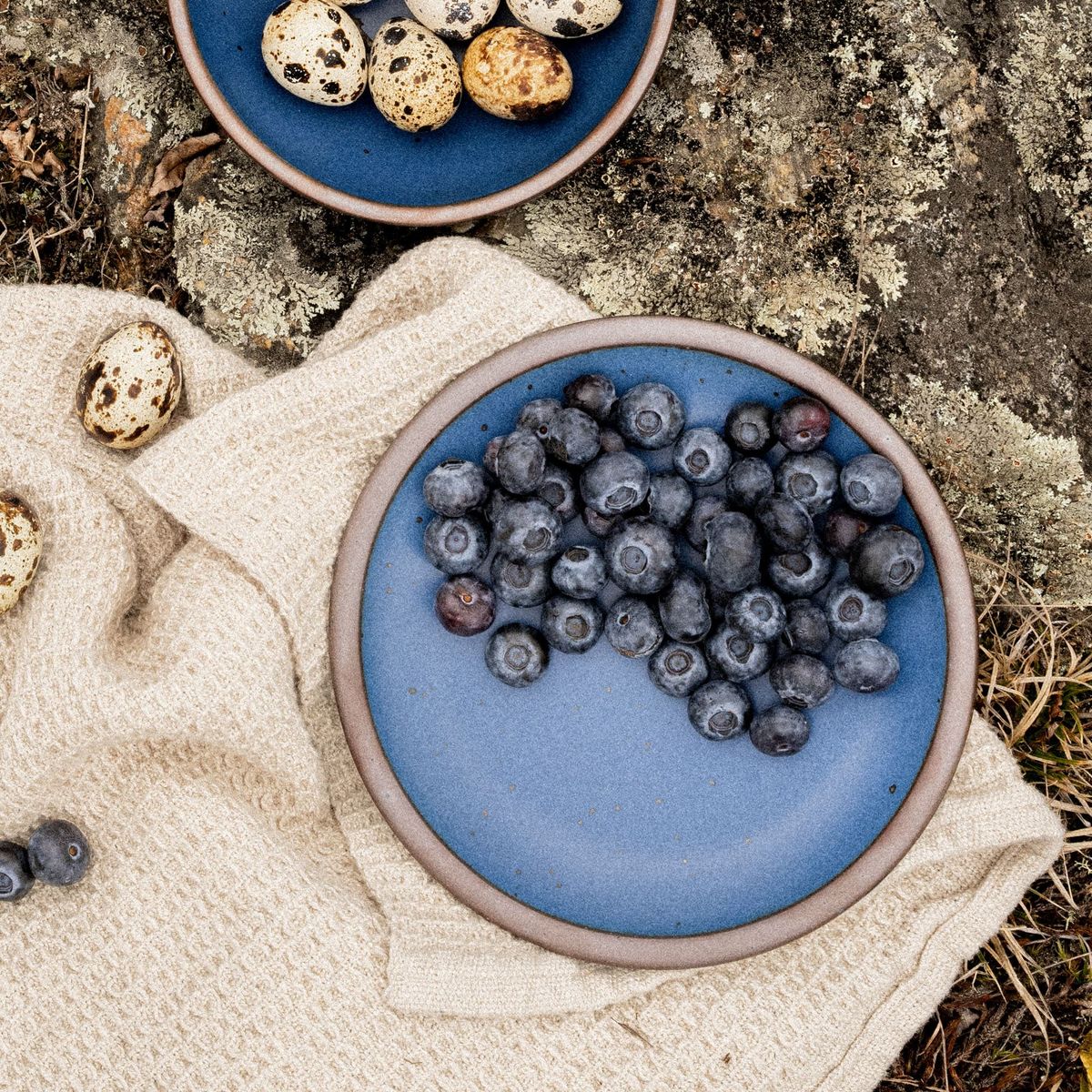 Blueberries on a small plate in a cool medium blue color featuring iron speckles and an unglazed rim, outside in a picnic setting.