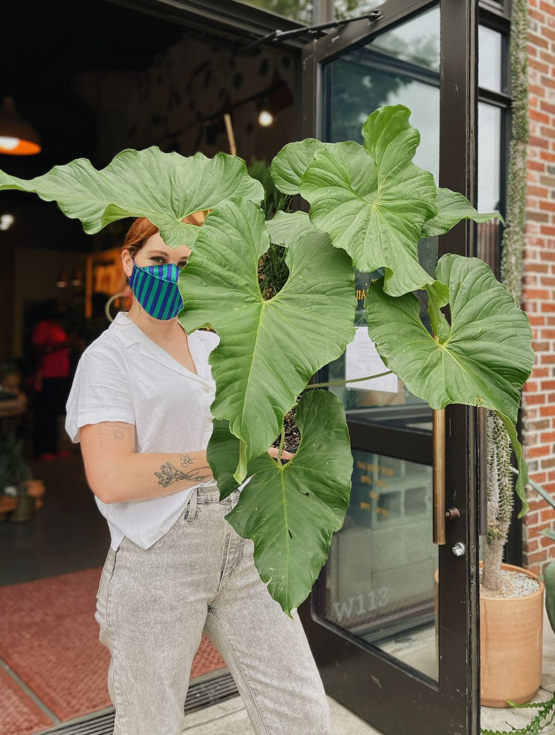Libby Hockenberry carries a giant house plant outside of her plant and flower shop in Atlanta
