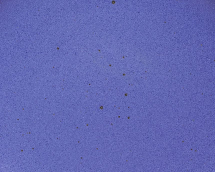 A closeup of a ceramic plate in a true cool blue color featuring iron speckles