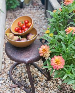 Outside, two ceramic bowls are filled with freshly picked vegetables and fruit, sitting on an iron stool next to a flower bush