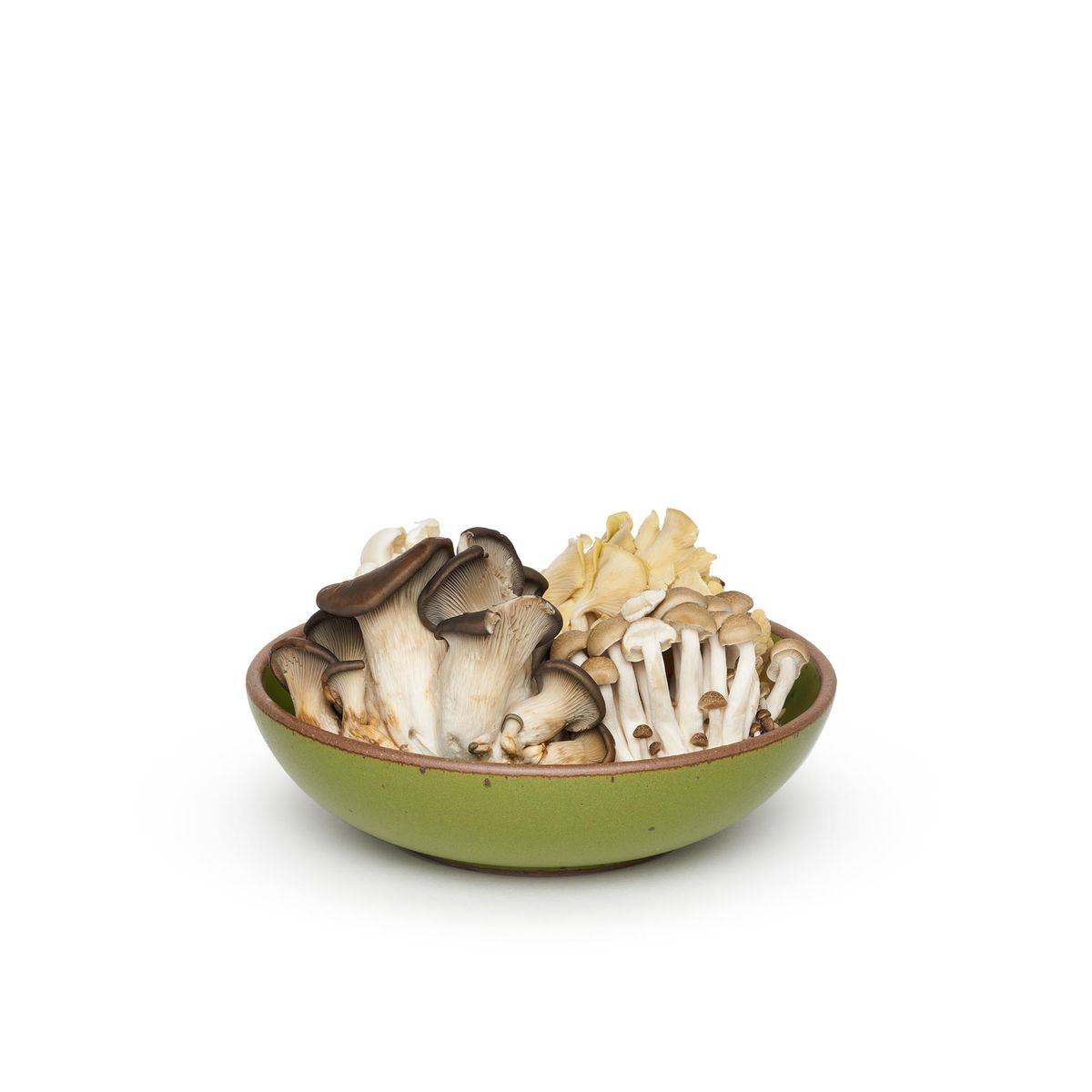 The Everyday Bowl in Fiddlehead, a mossy, olive green, piled high with foraged mushrooms.