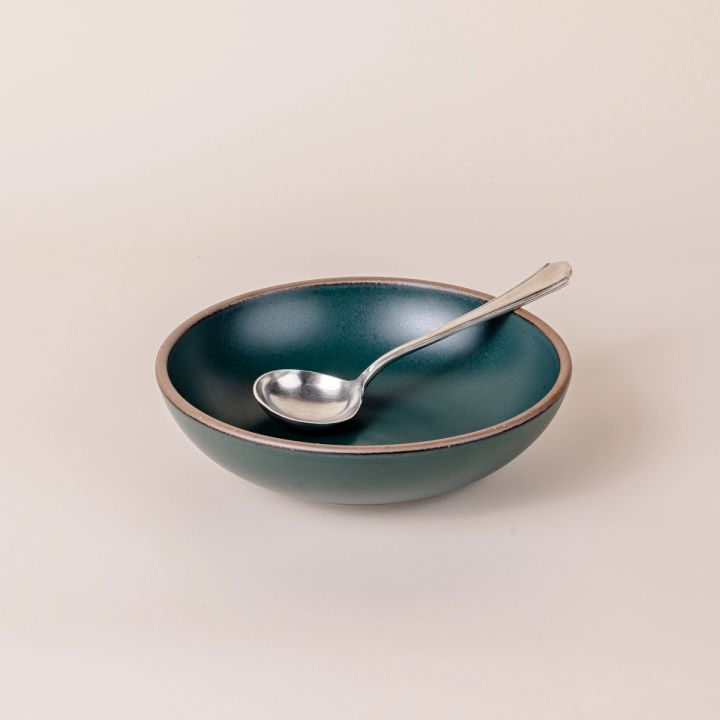 A gravy spoon sits in a deep teal shallow ceramic bowl. The spoon has a skinny handle that gets a little wider and round on the end. The bowl of a spoon is circular.