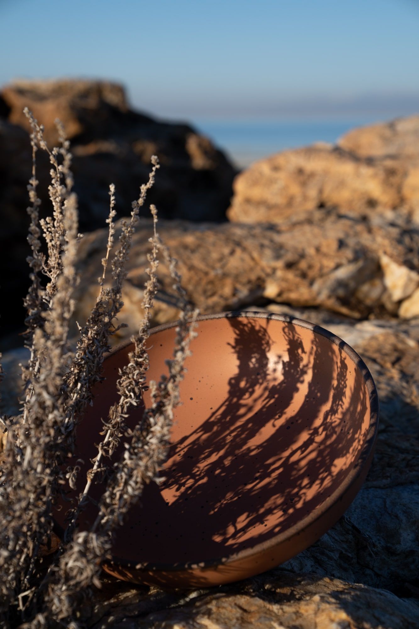 Niki Chan Wylie photo of Utah coupe on rocks under brush in wilderness