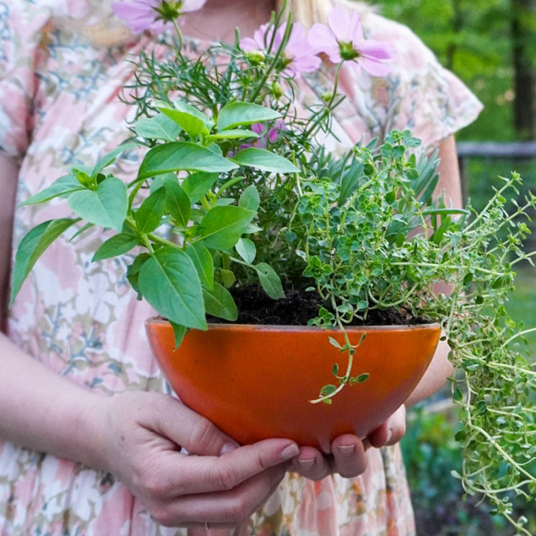 Hands hold a potted plant in a ceramic East Fork bold orange bowl.