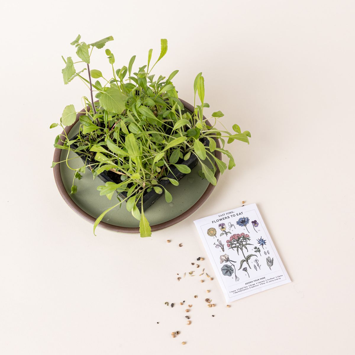 A white seed pack with floral illustrations on it sits next to a healthy green plant in a bowl.