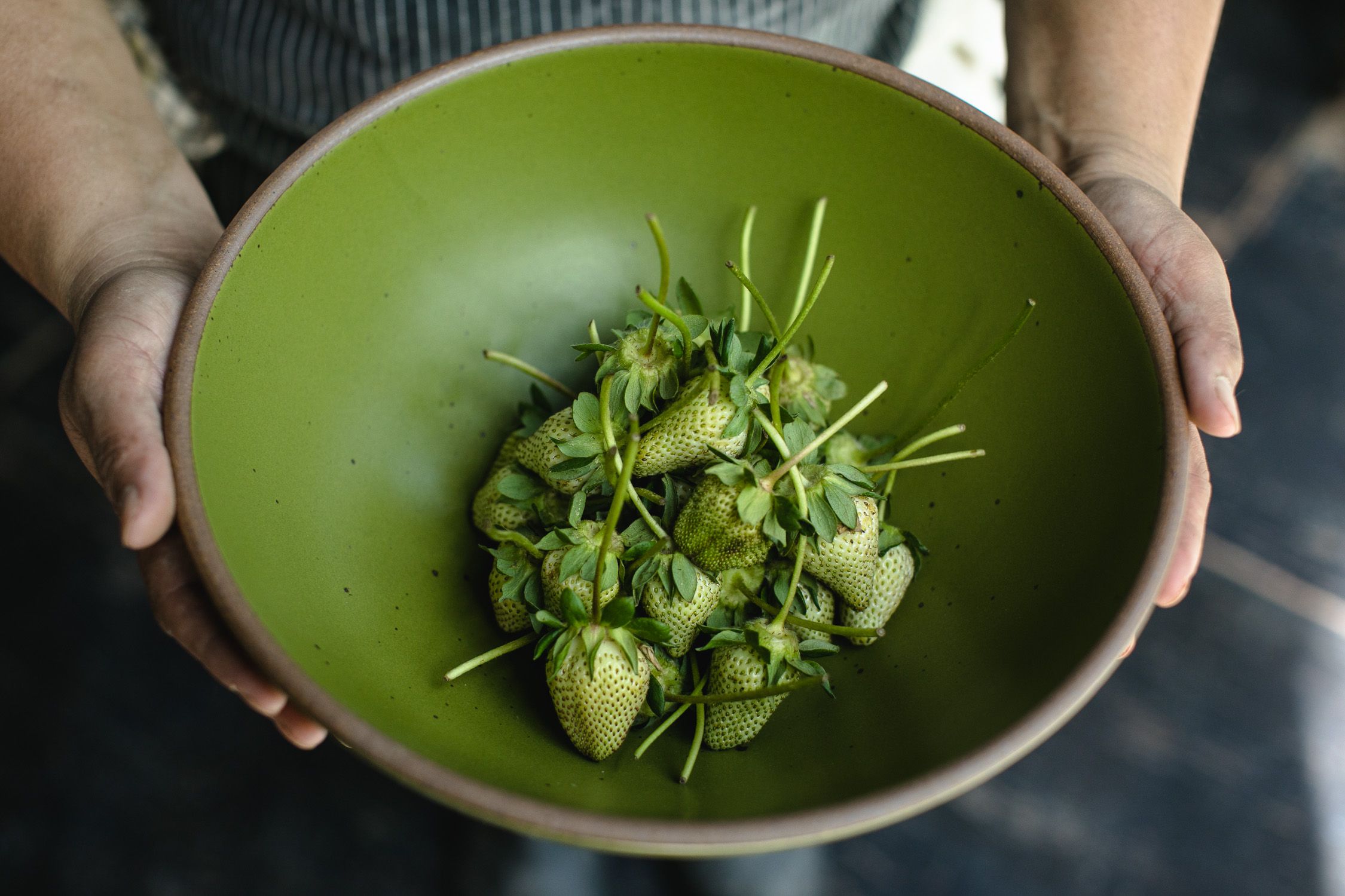 Fresh green strawberries in an East Fork mixing bowl