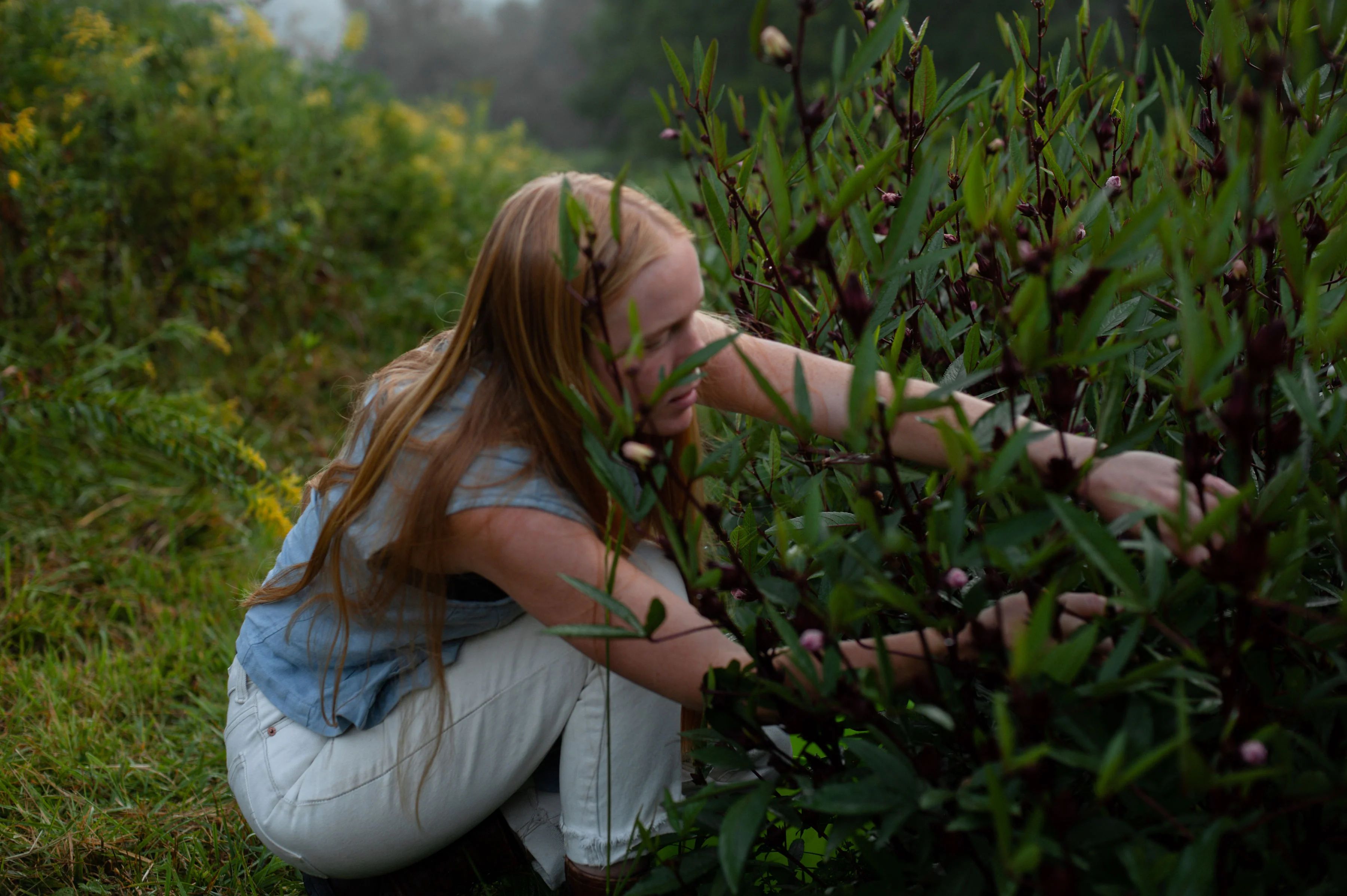 Outside, a woman clips herbs from a growing plant.