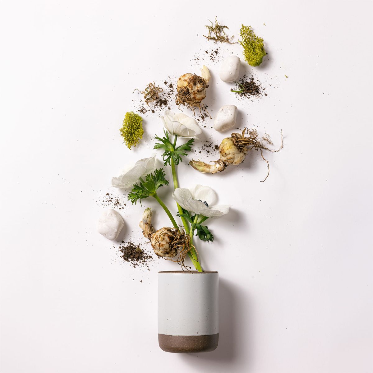 A cylindrical ceramic vessel in an cool white color laying on its side - anemone and moss are artfully styled coming out of the top of the candle to reflect the scent.
