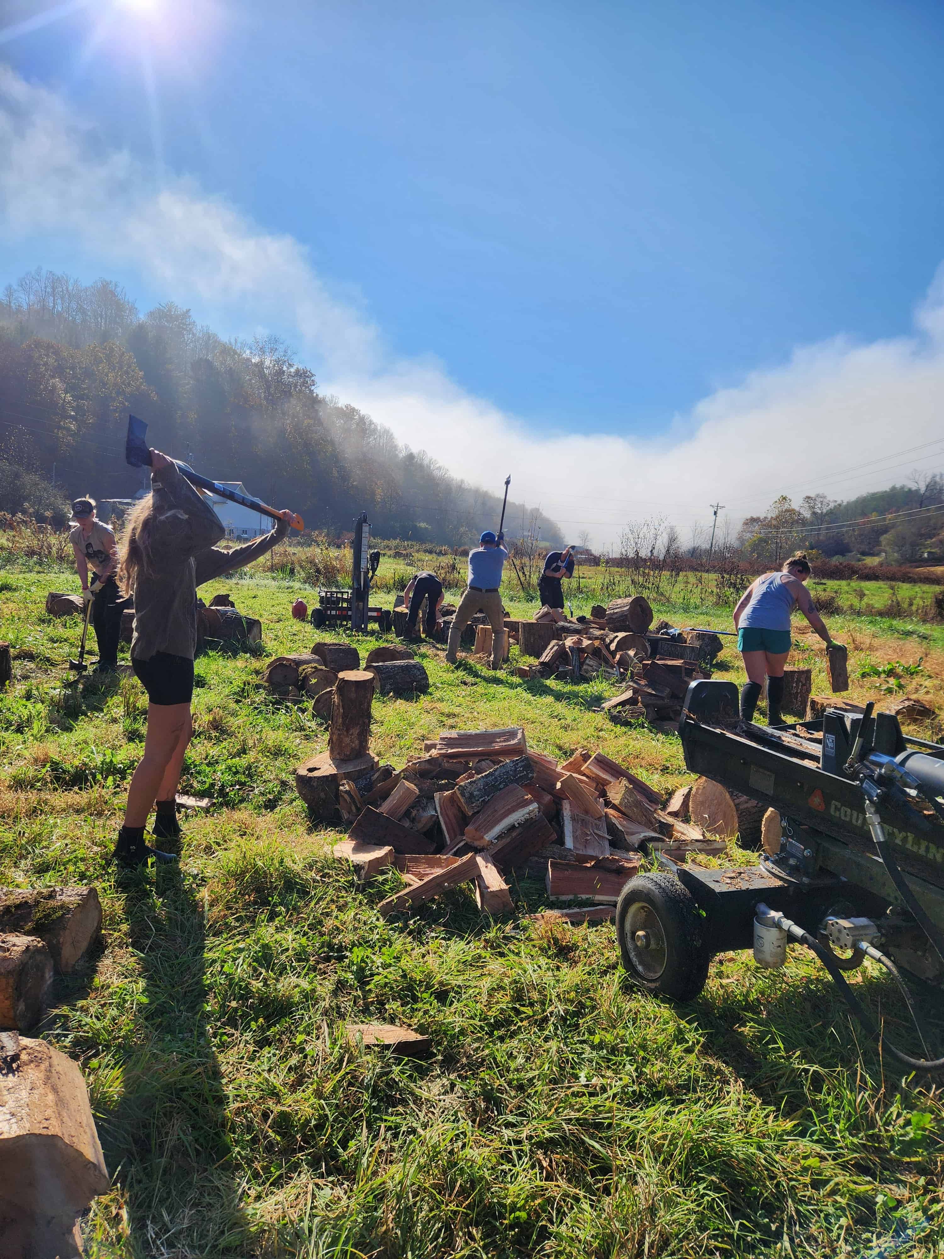 Several people outside chopping wood with the mountains behind them.