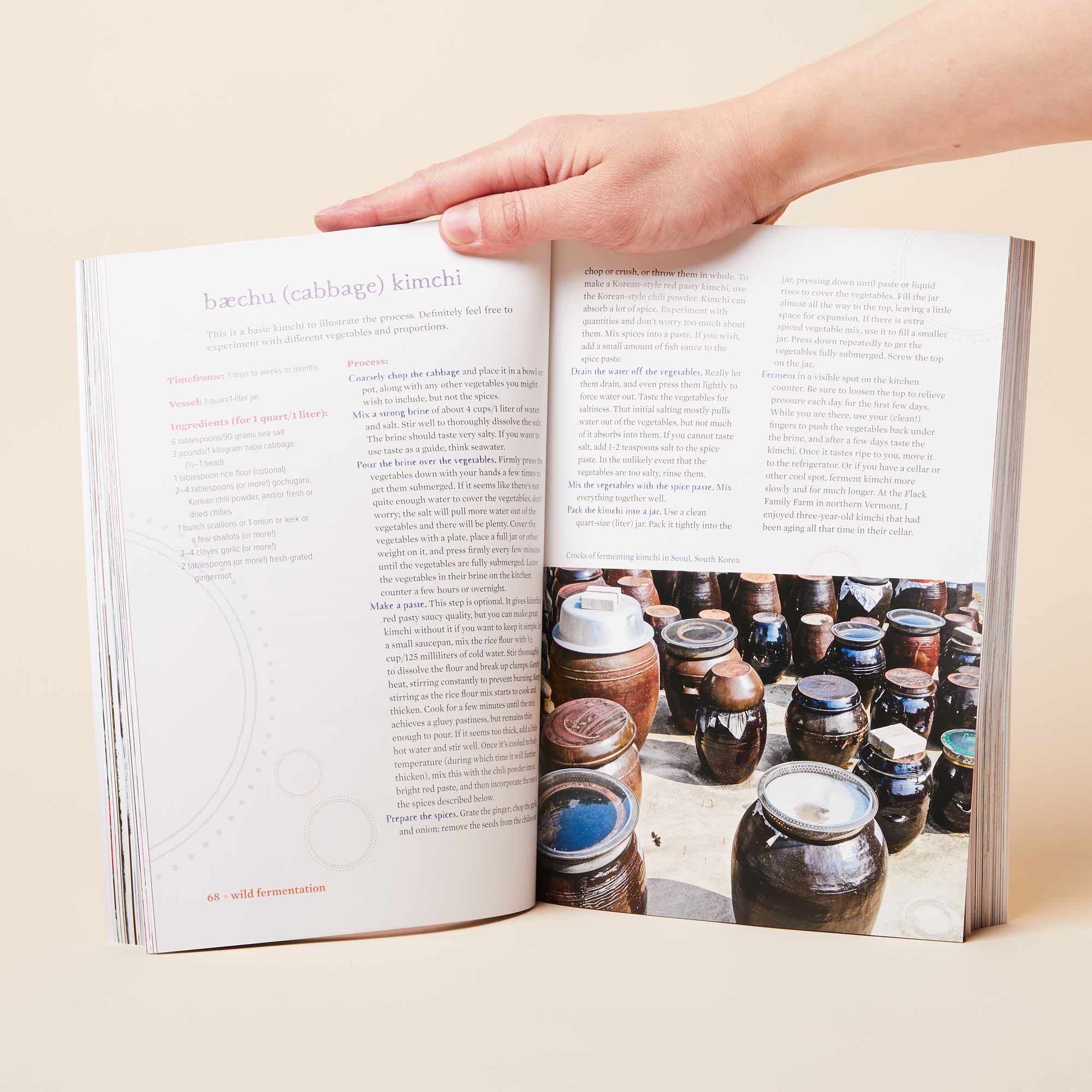 Two-page spread from the book on the topic of kimchi