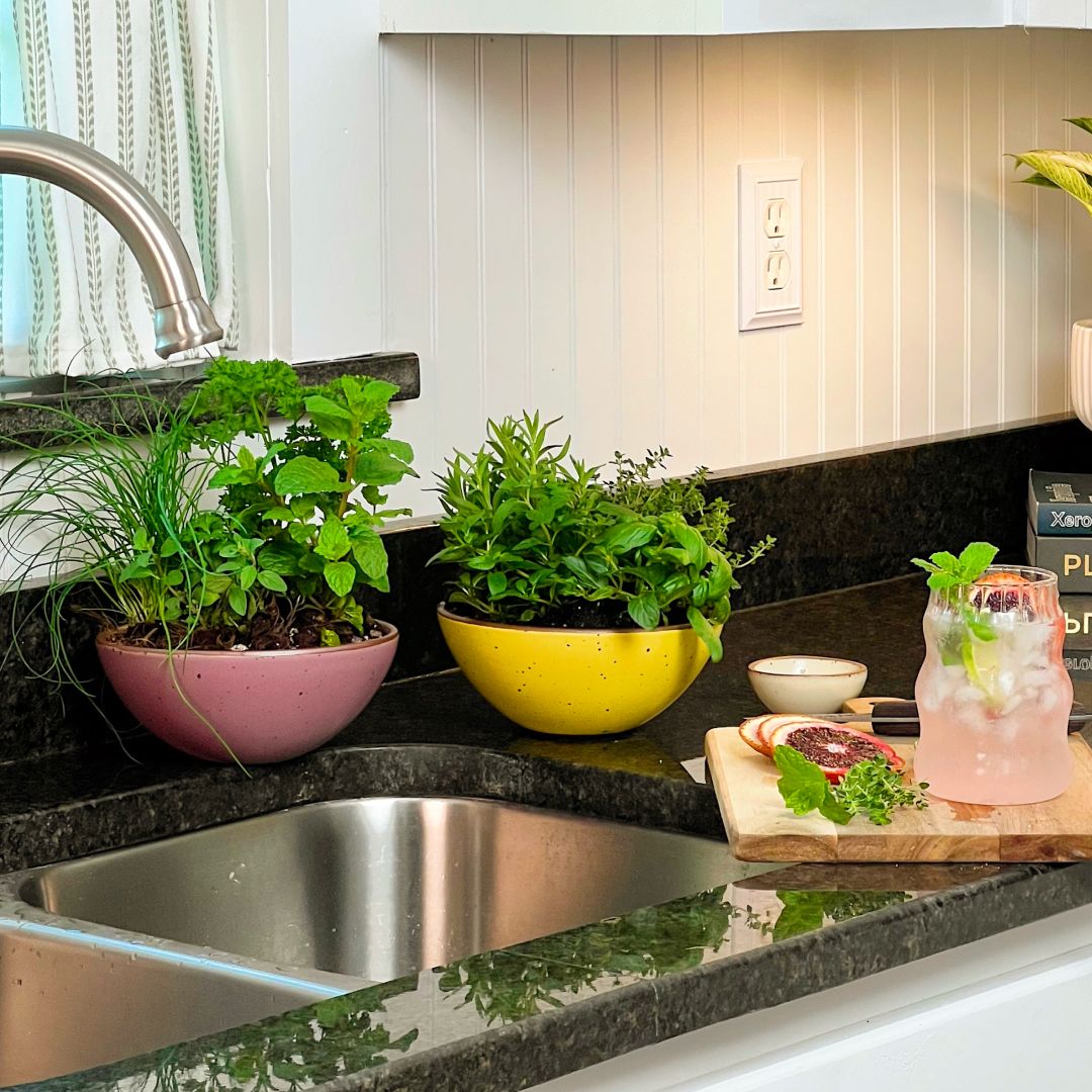 Two colorful soup bowls filled with planted herbs by the kitchen sink with a cutting board for making cocktails