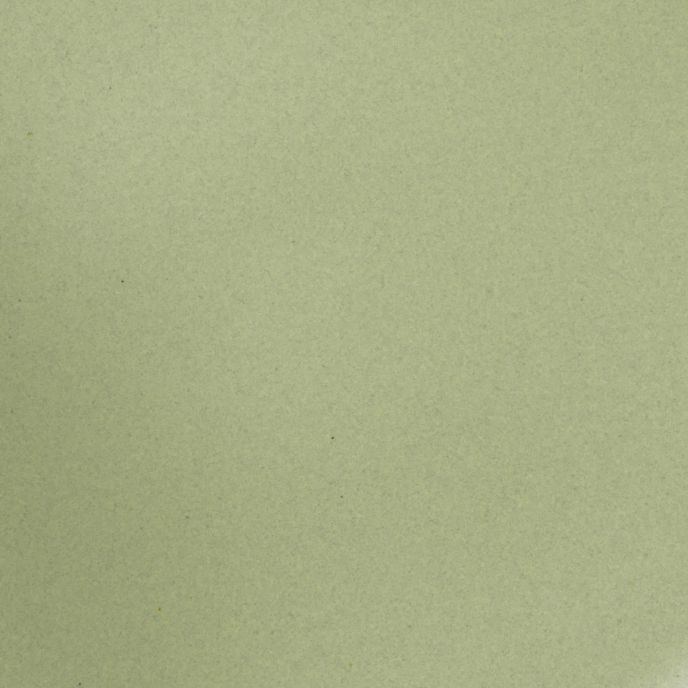 A closeup of a ceramic plate in a calming sage green color with a few subtle iron speckles throughout