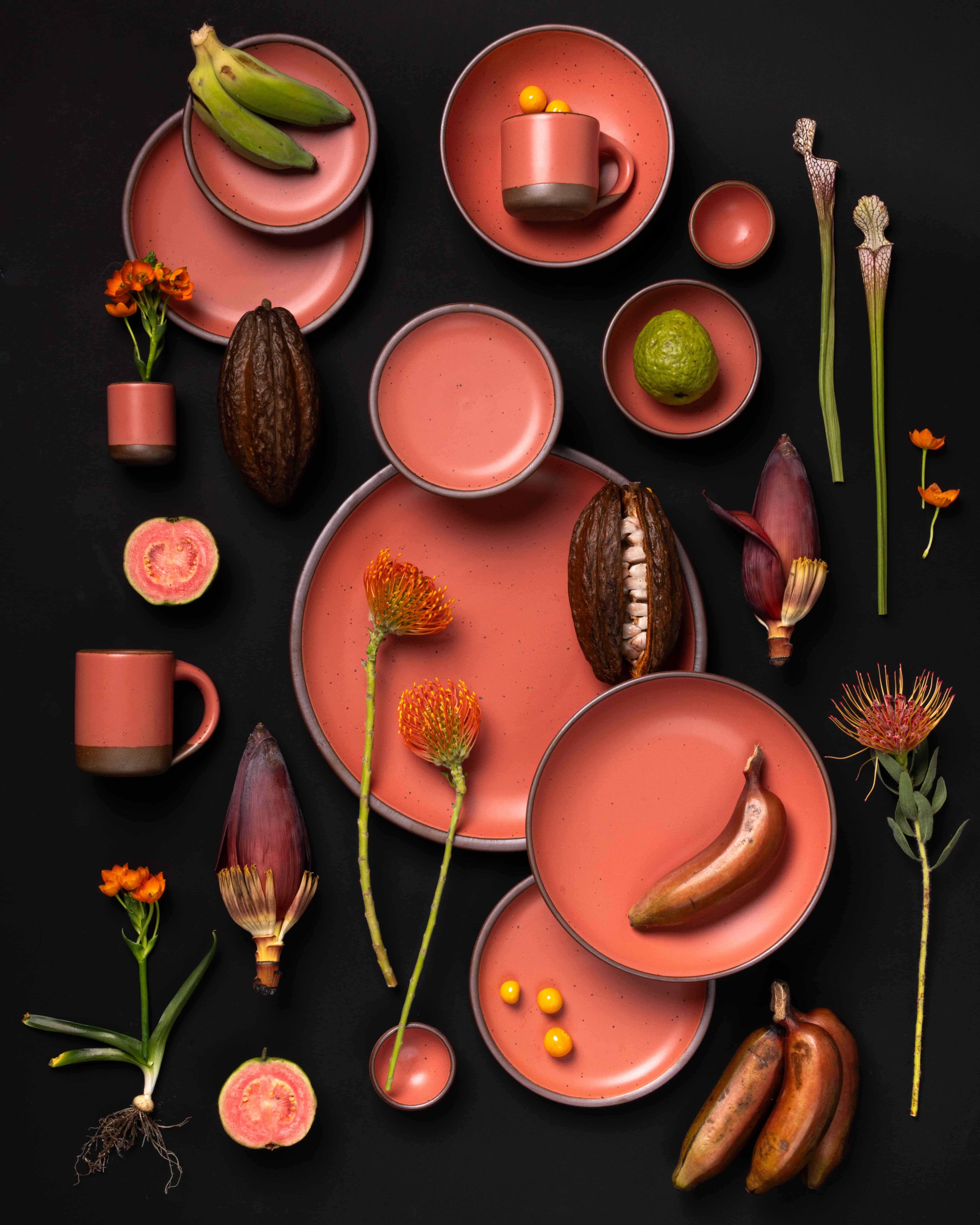 Guava-colored ceramic dinnerware arranged with tropical fruits and vivid flowers on a black background in a bold, graphic layout.
