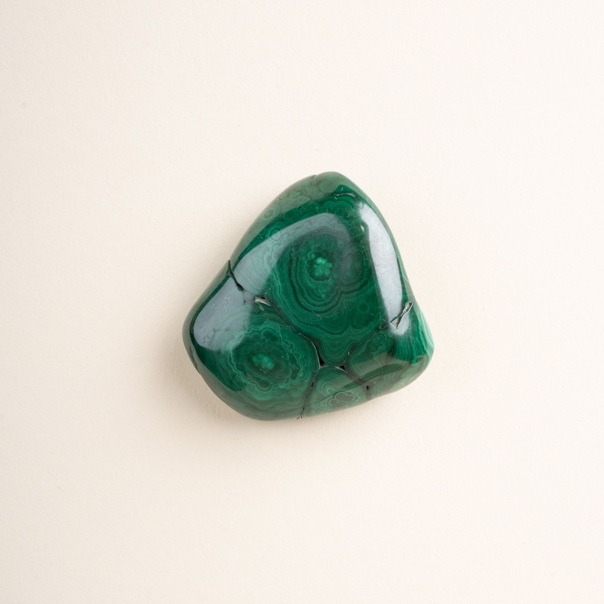 A single polished malachite stone with rich green color and concentric banding patterns, displayed on a light cream background.