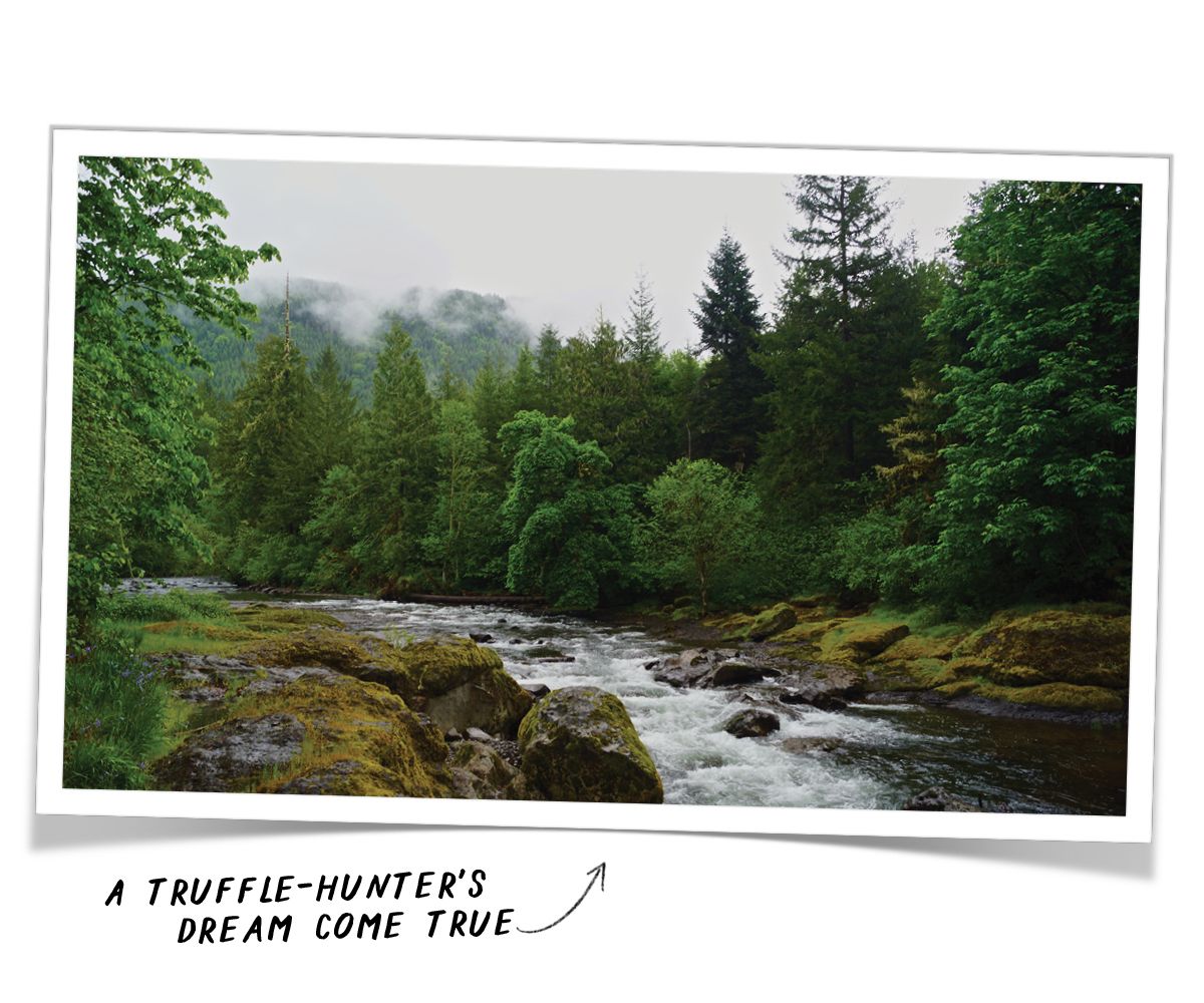 A photo of Willamette Valley with a caption that reads "A truffle-hunter's dream come true"