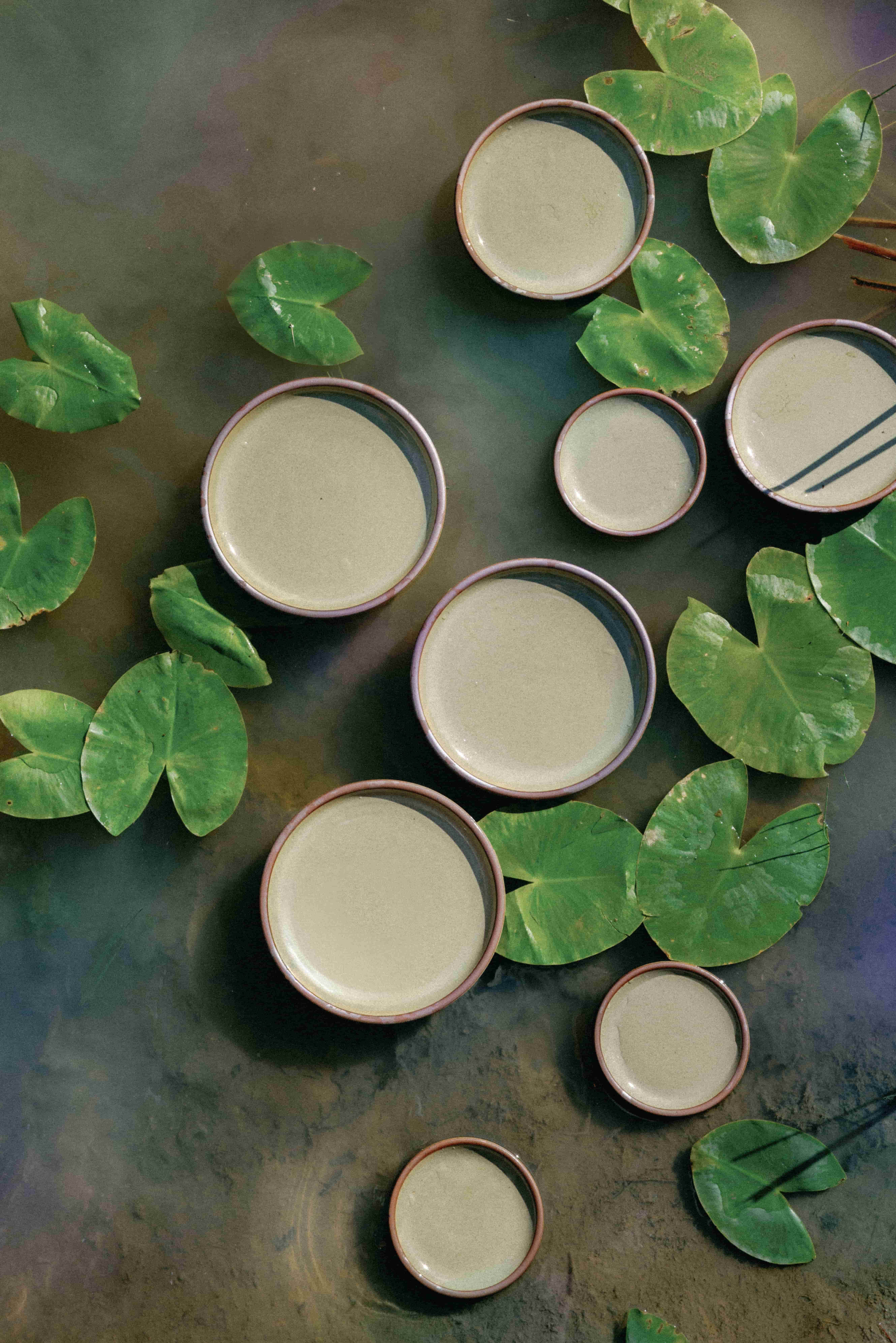 An overhead view of reflective dappled grey-green plates in various sizes floating in a pond with lily pads