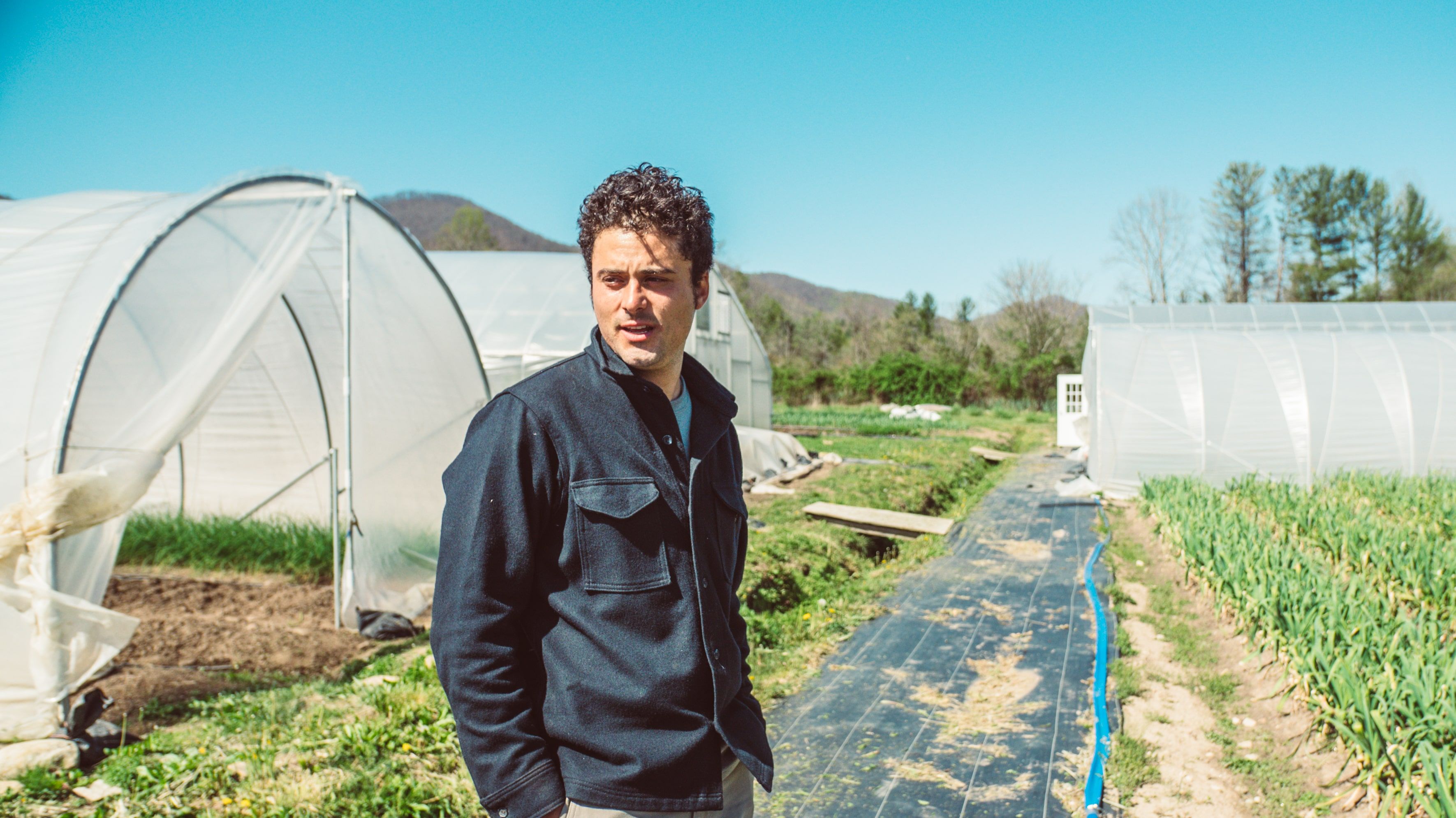 Evan Chender standing on his property in Reems Creek valley