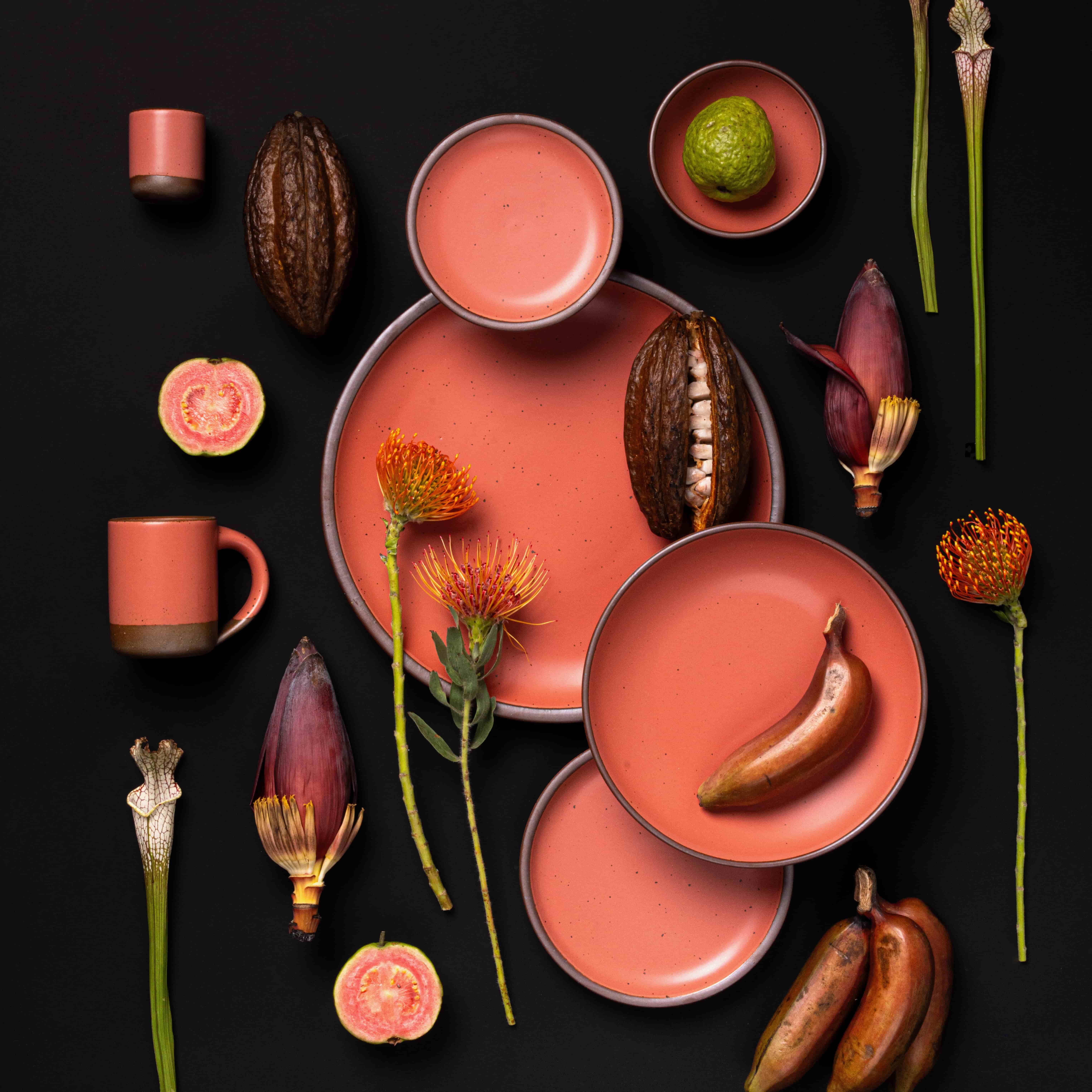 Guava-colored ceramic dinnerware styled with tropical fruits, cocoa pods, and exotic flowers on a black background.