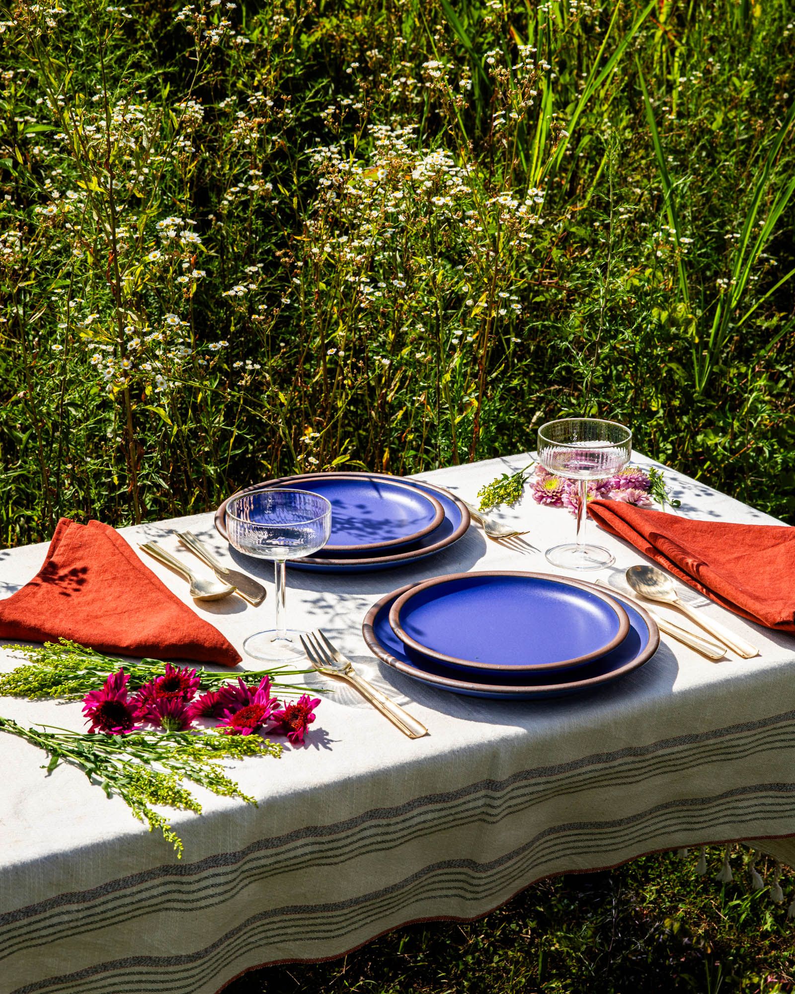 A table setting outside surrounded by tall grass, featuring bold blue plates, coupe glasses, red napkins, and brass flatware