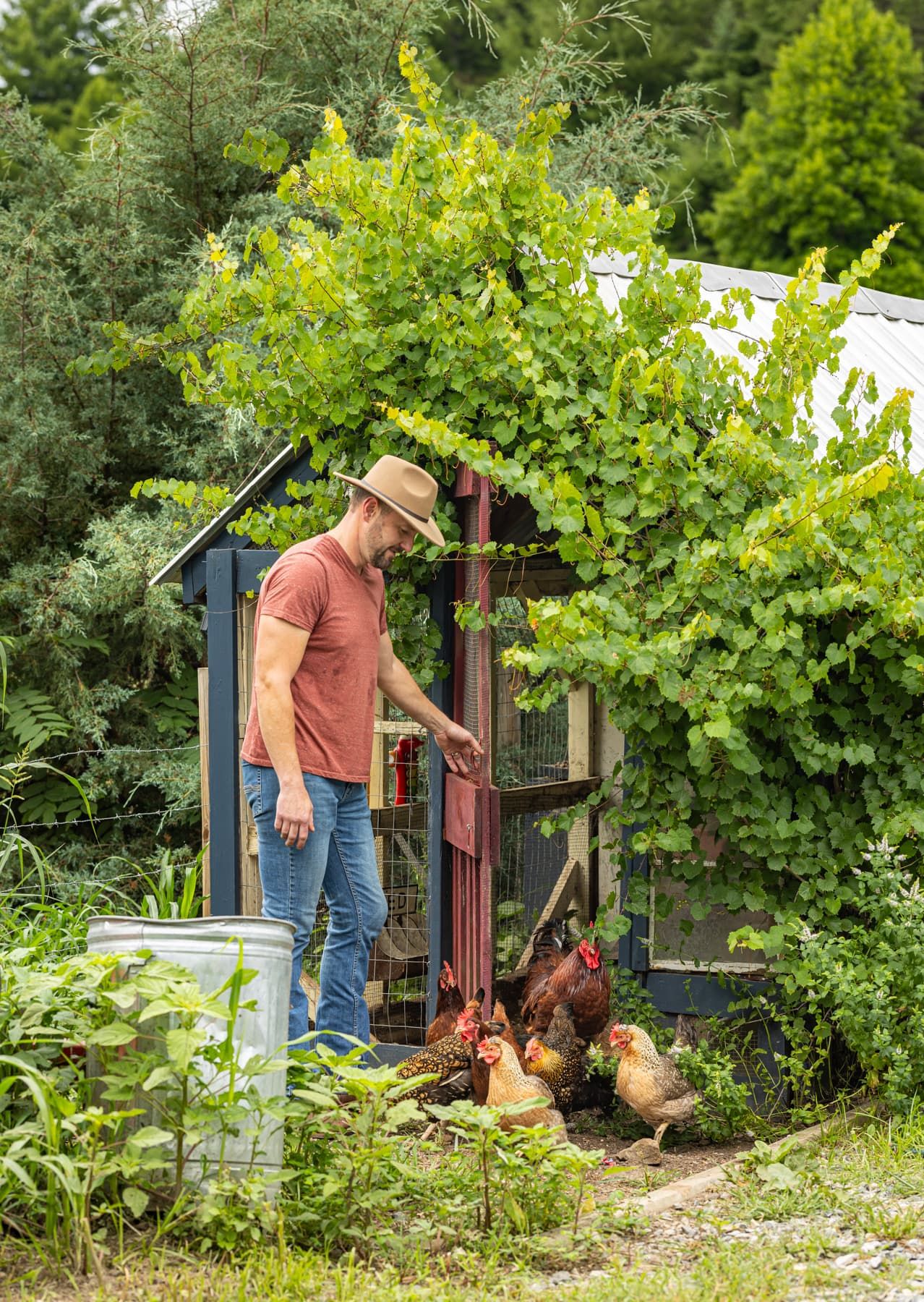 A man is outside opening the door to a chicken coop with chickens outside the door.