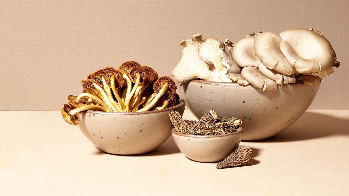 Various bowls in Morel, a warm pale brown color with different mushrooms artfully plated.
