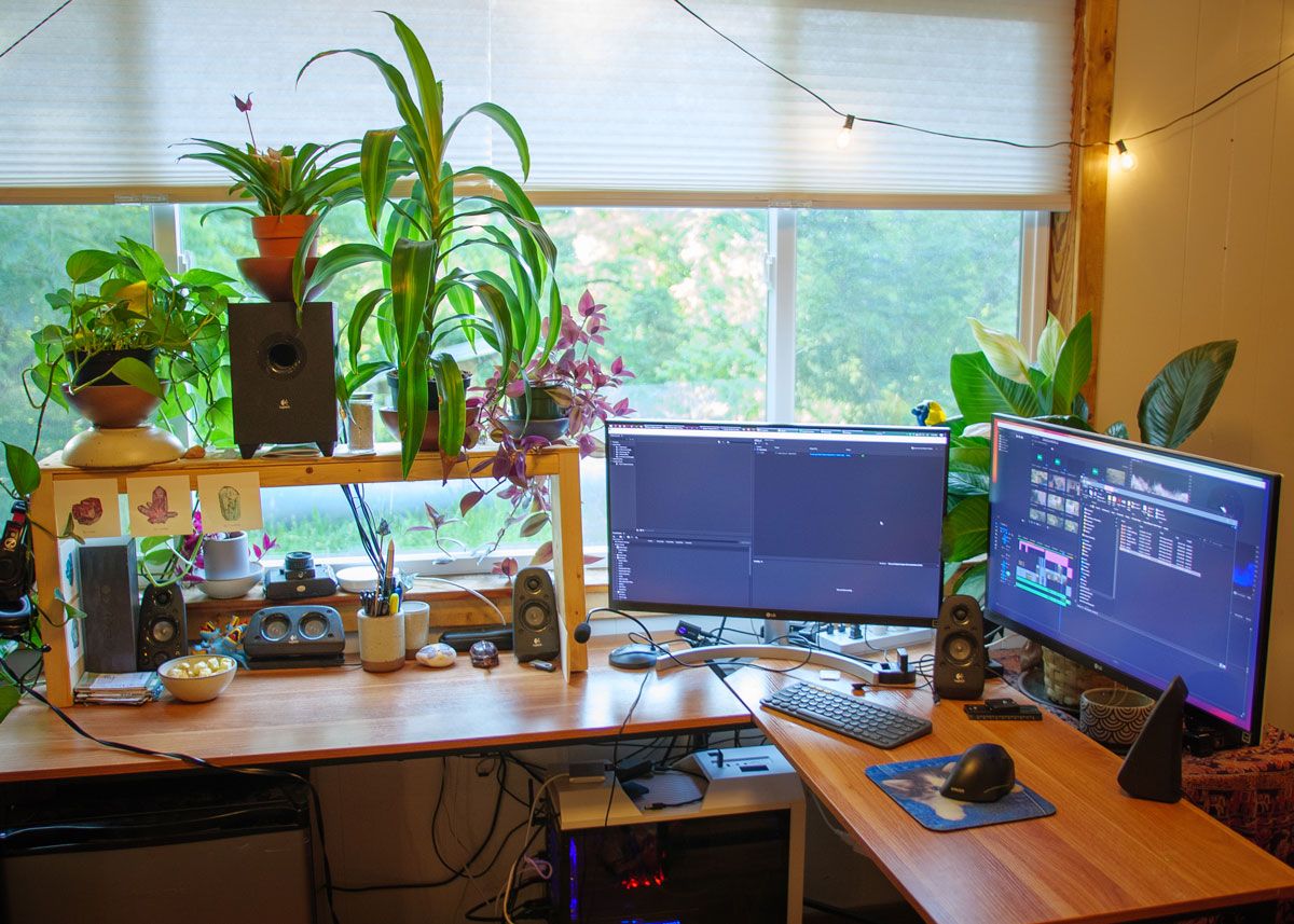 Two desks arranged in an L-shape with two monitors and a whole lotta plants