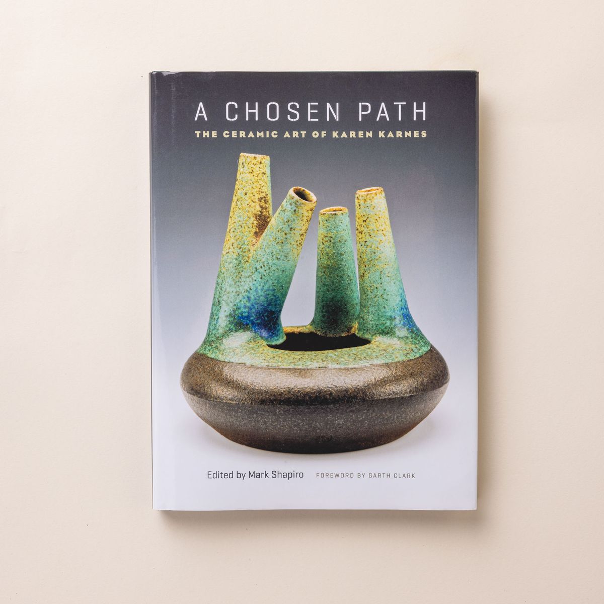 A hardcover book that reads "A Chosen Path" featuring a pottery art piece.