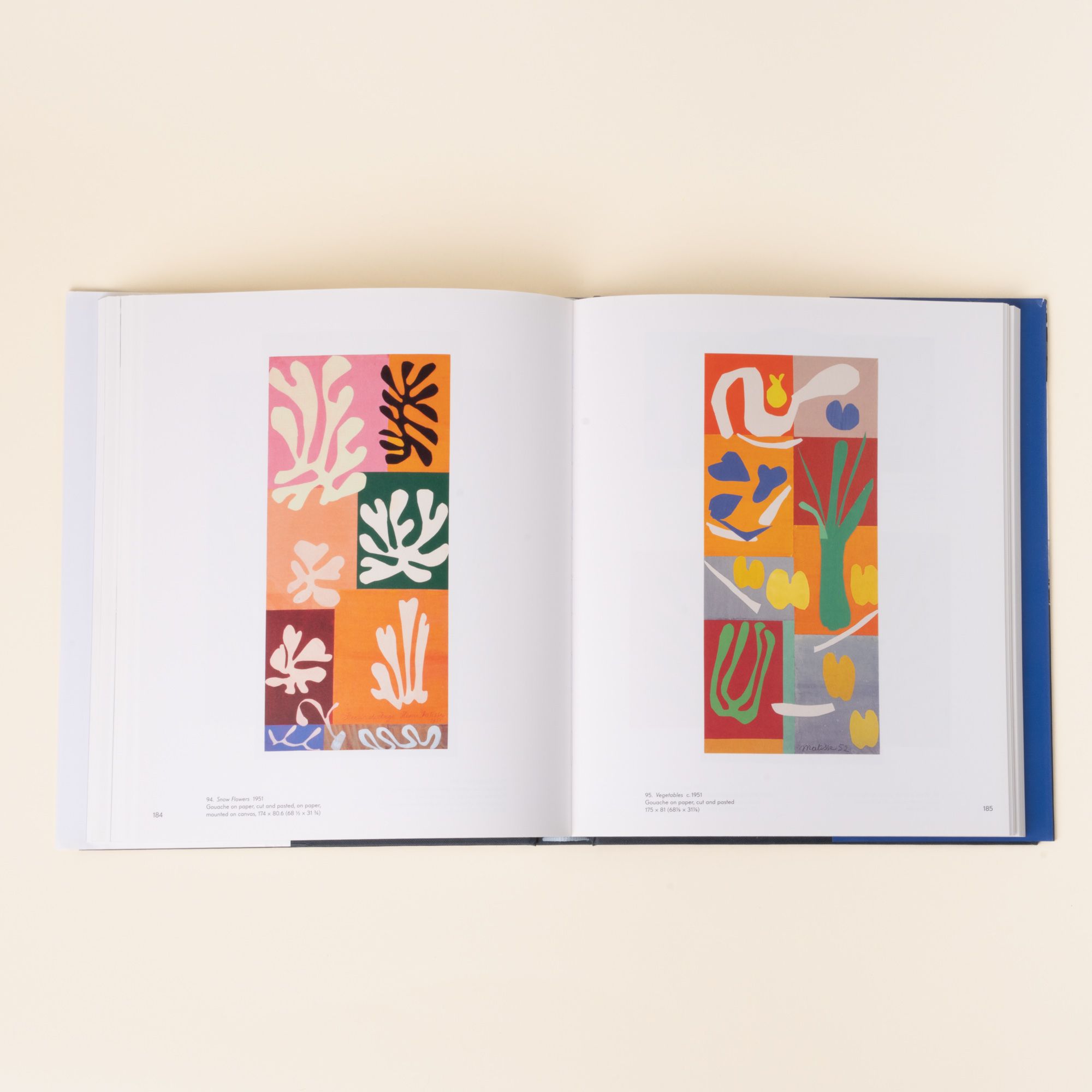 An open art book displaying Henri Matisse’s colorful cut-out collages with abstract plant and organic shapes in bold pinks, oranges, greens, and blues.