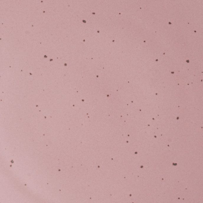 A closeup of a ceramic plate in a soft rosey pink color with iron speckles throughout