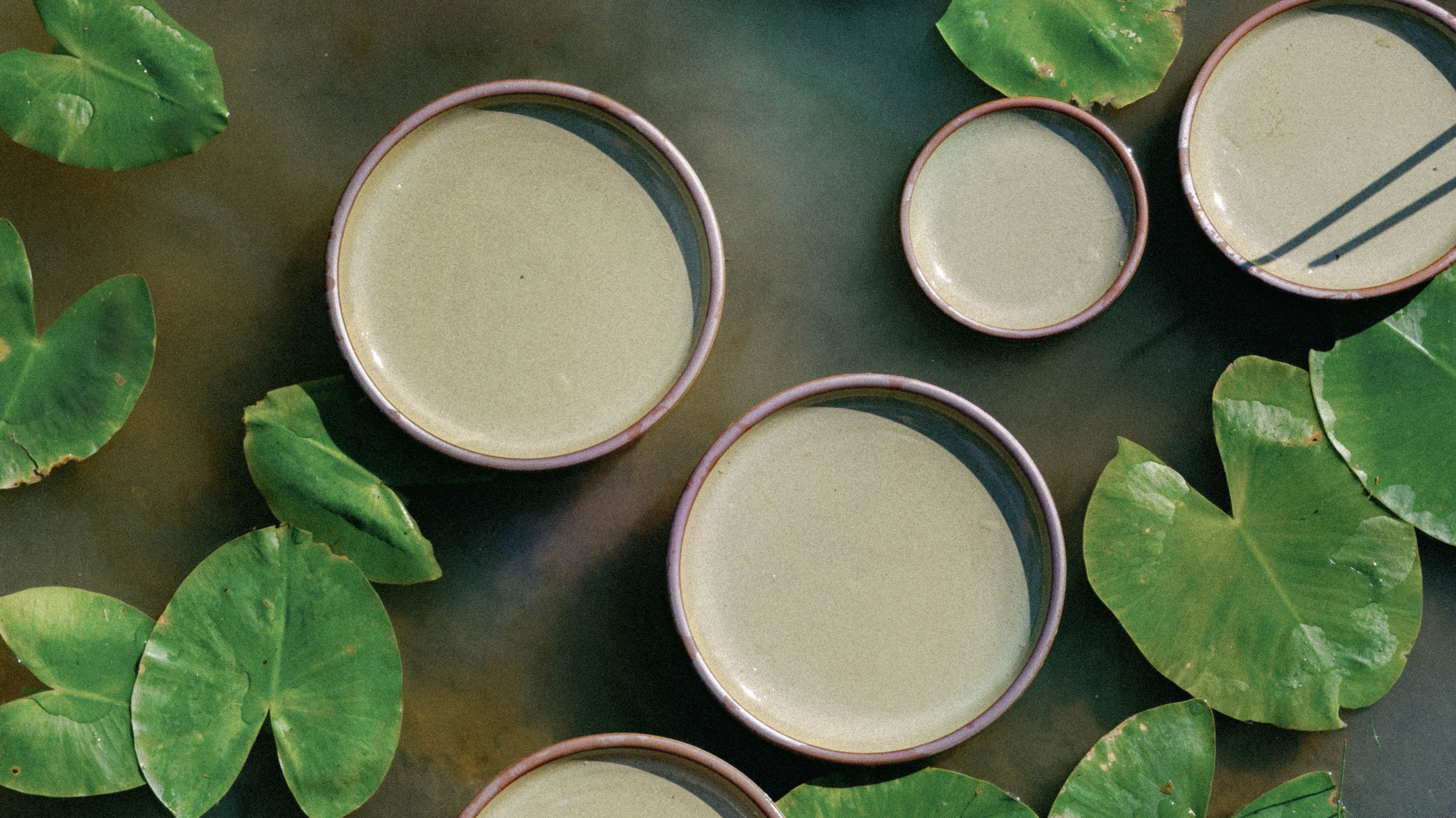 An overhead view of reflective dappled grey-green plates in various sizes floating in a pond with lily pads