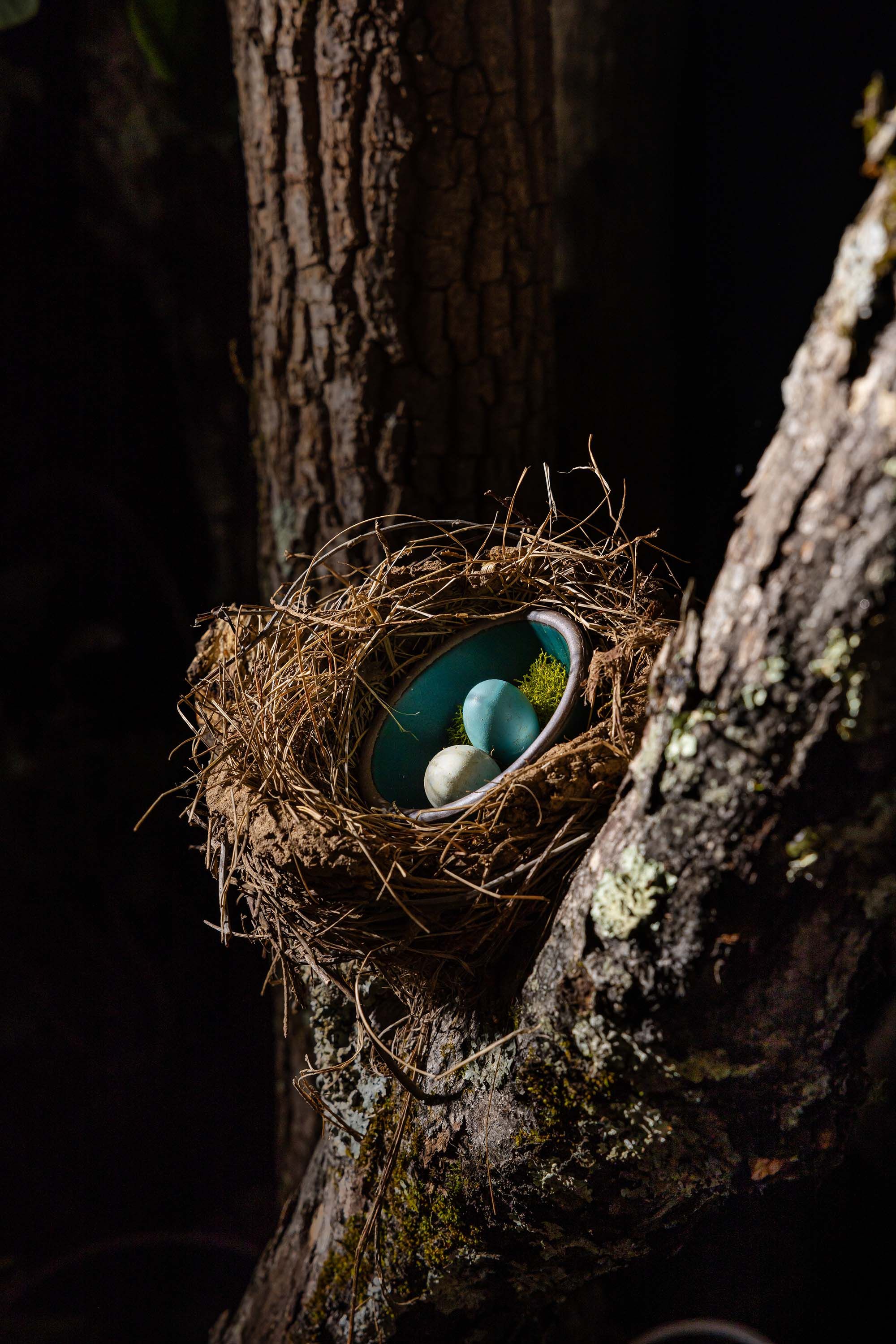 A little birds nest sits in a tree with a small ceramic teal bowl with teal and white eggs inside
