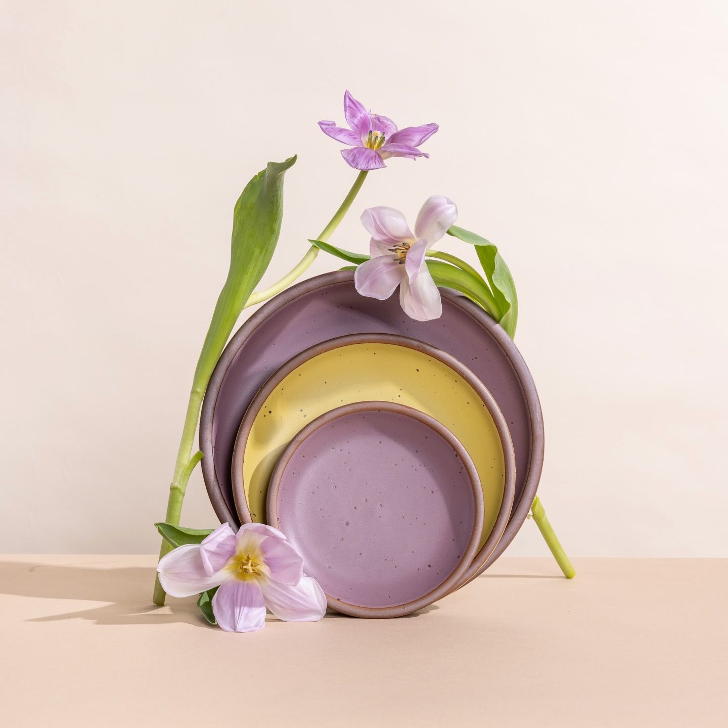 Ceramic plates propped up in 3 different sizes and in soft mauve purple and zesty yellow colors, adorned with flower stems.