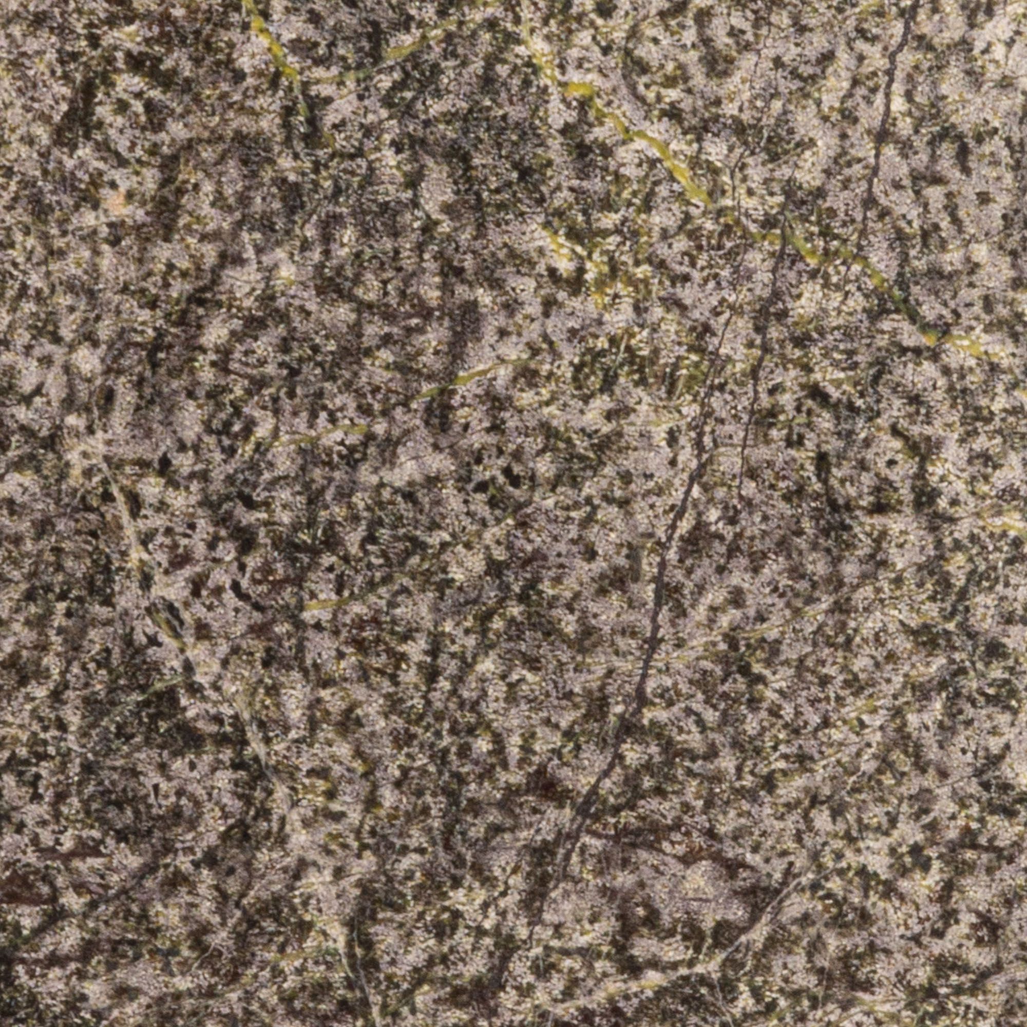 Close-up of green and beige marble surface with fine veins and speckled textures.