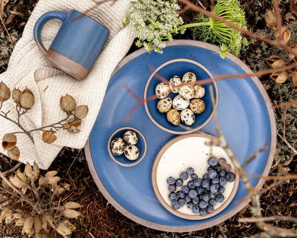 A large Serving Platter in a cool medium blue with small bowls and a small plate outside in a picnic setting