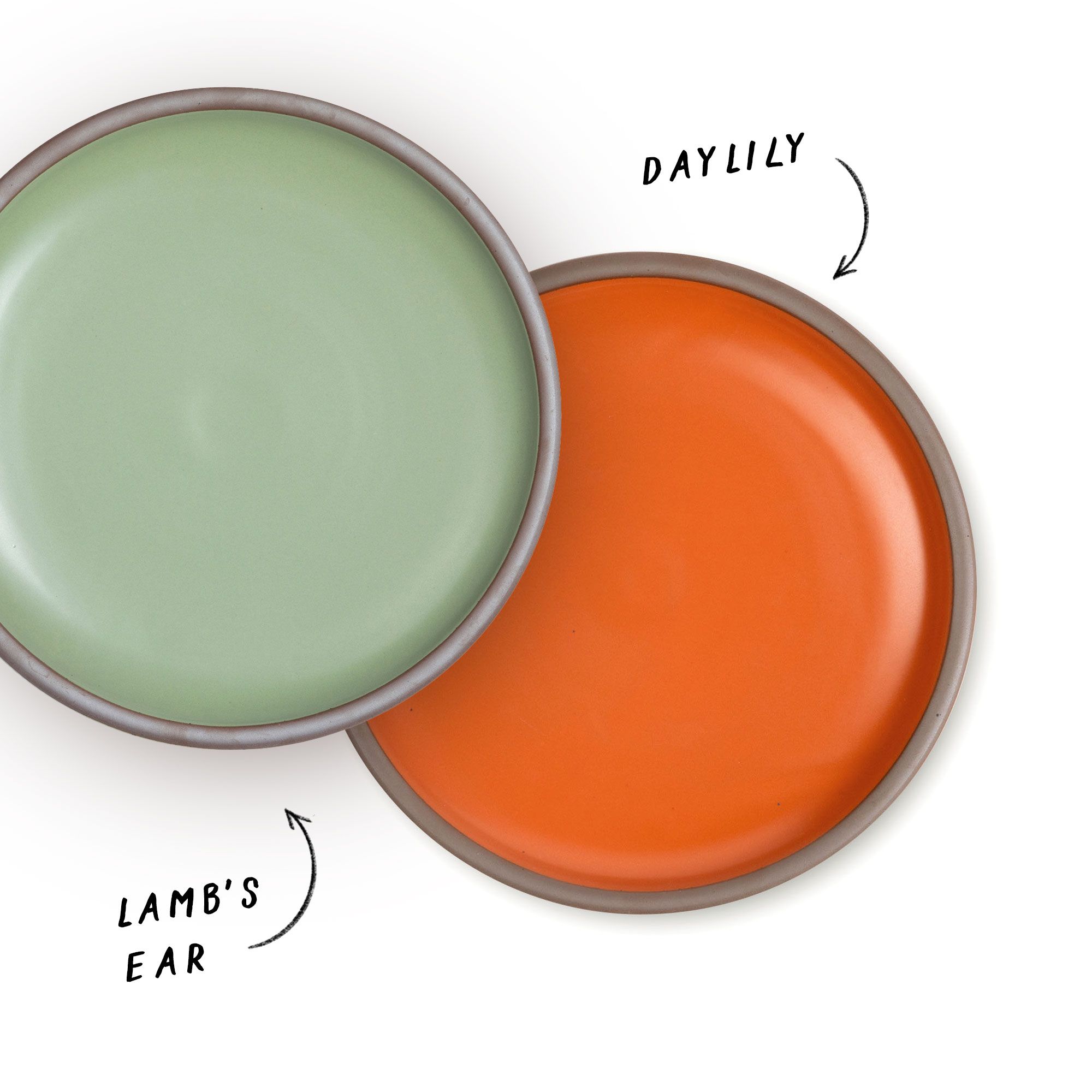 2 dinner plates in a bold orange and a sage green that have arrows pointing to each reading their color names, "Daylily" and "Lamb's Ear"