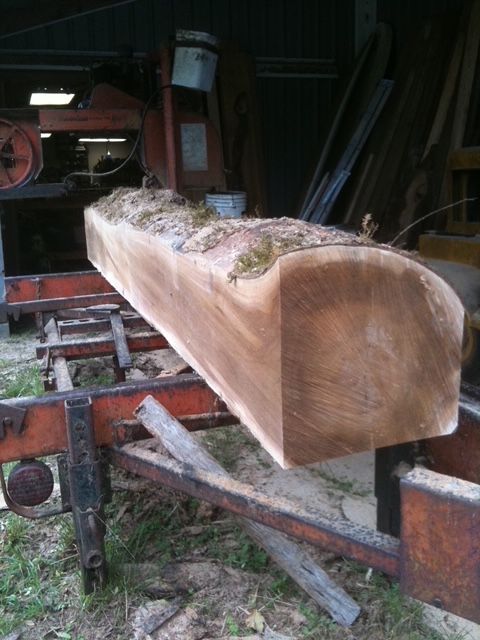 Myrtlewood log on the mill