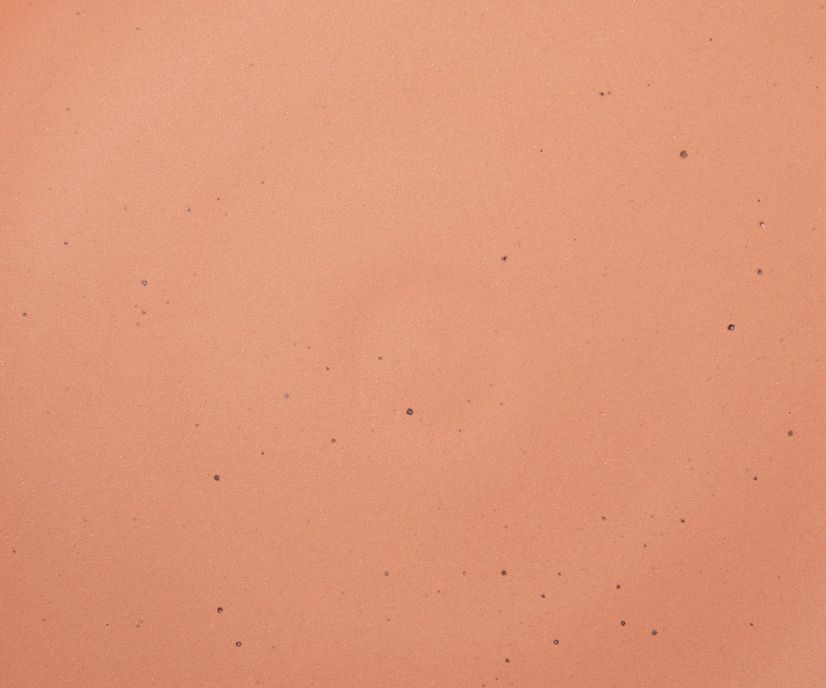 A closeup of a ceramic plate in a warm peach color featuring iron speckles