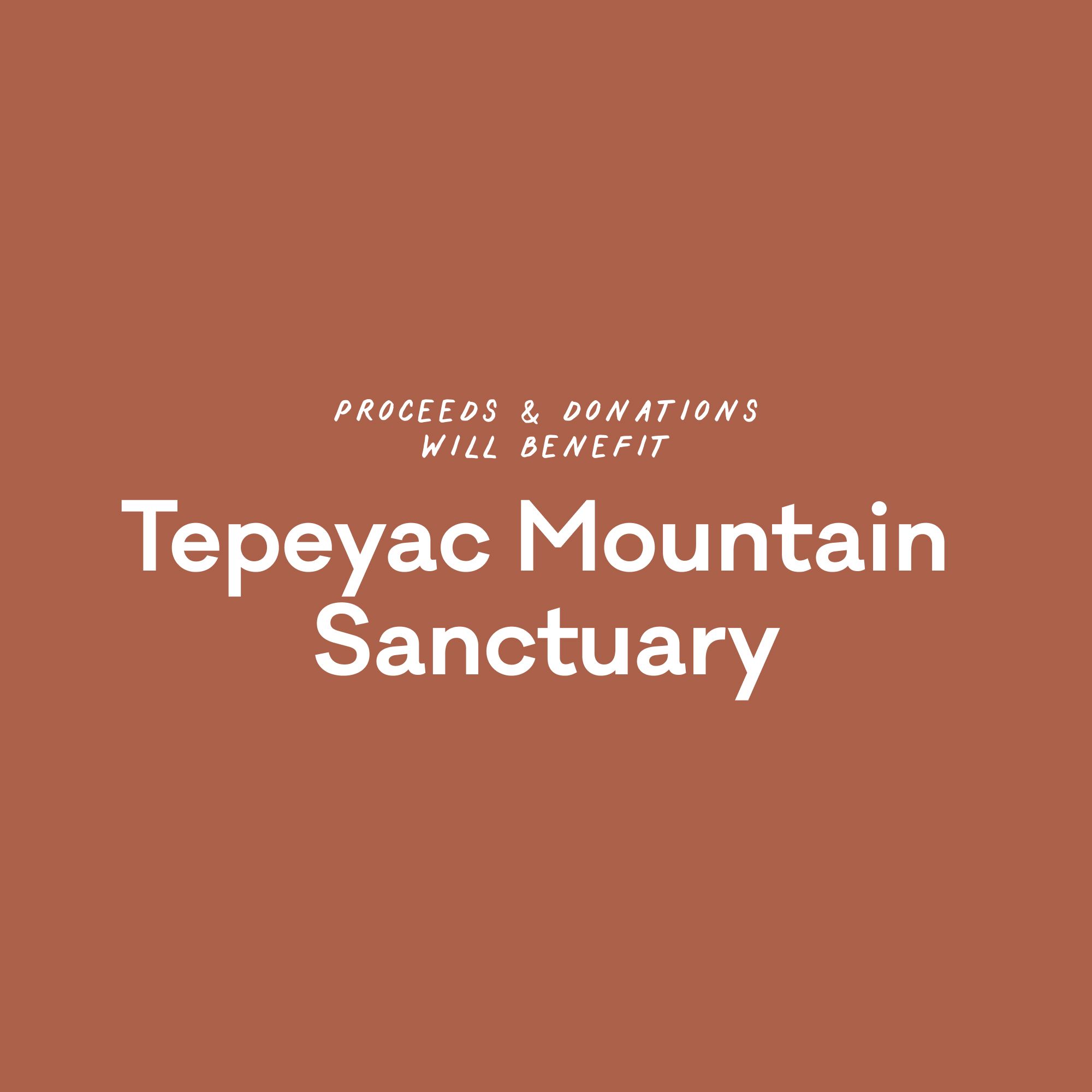 A graphic that reads "Proceeds & Donations will benefit Tepeyac Mountain Sanctuary"