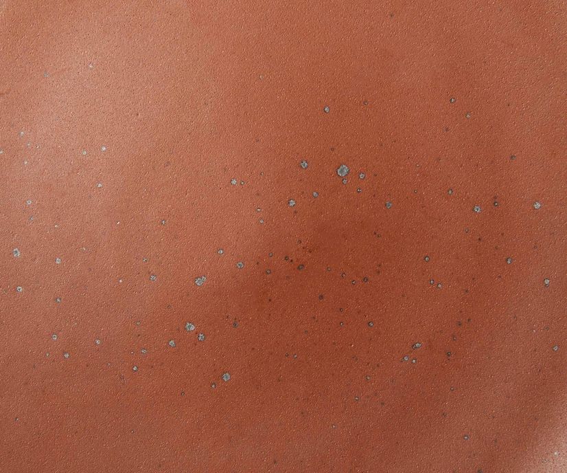 A closeup of a ceramic plate in a cool terracotta color with iron speckles throughout
