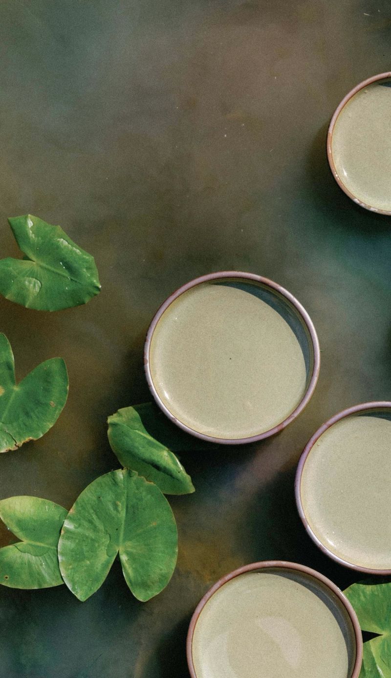 An overhead view of reflective dappled grey-green plates in various sizes floating in a pond with lily pads