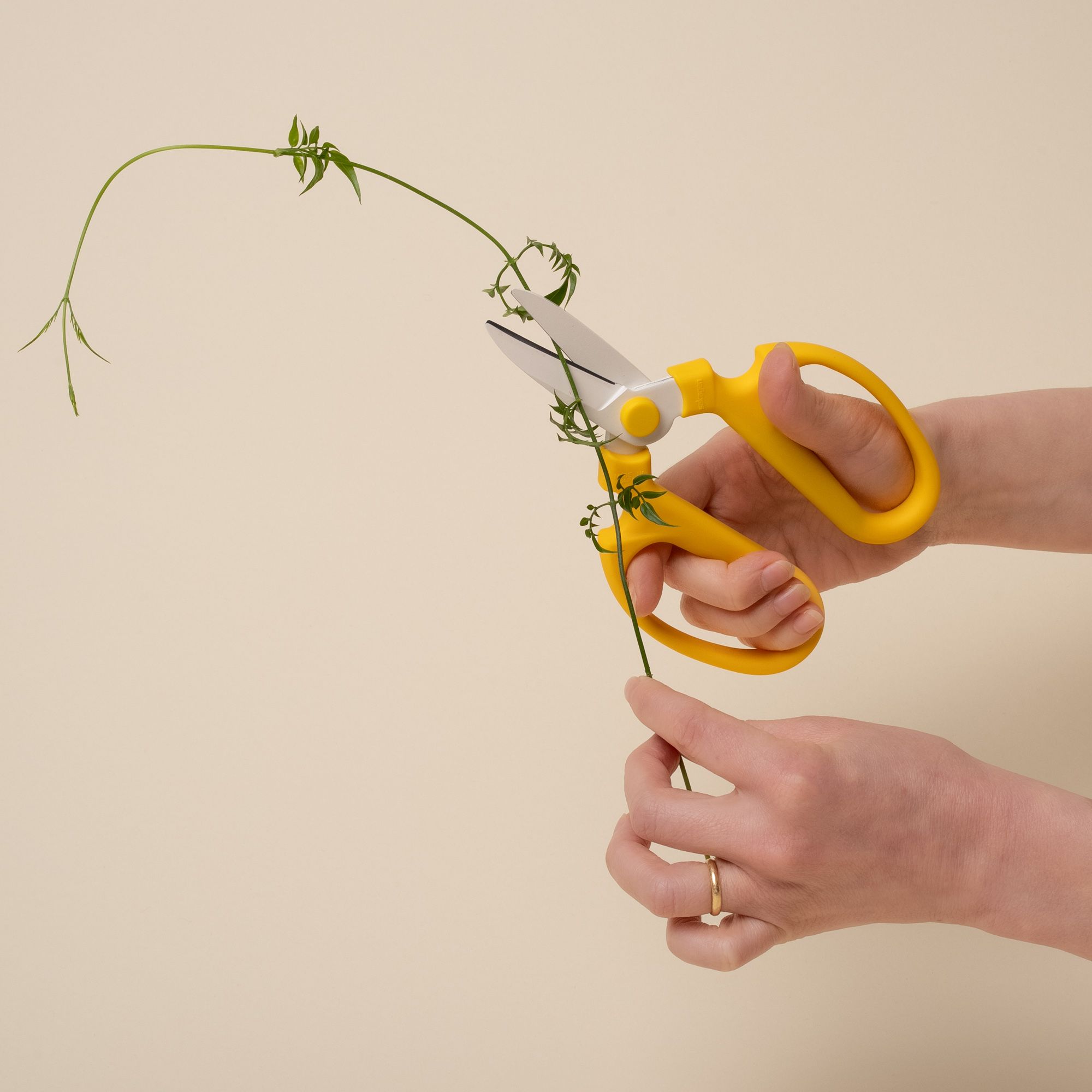 Niwaki Flower Scissors | East Fork