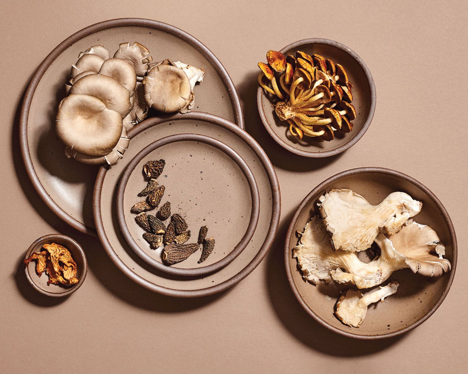 Various plates and bowls in Morel, a warm pale brown color with different mushrooms artfully plated.