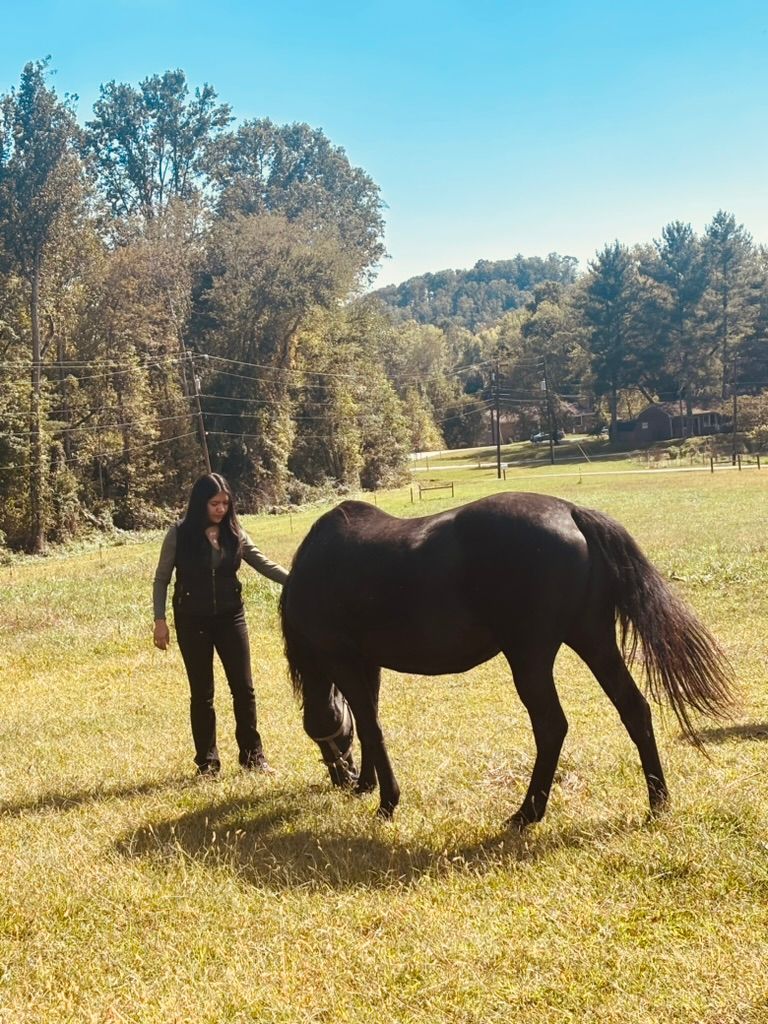 A woman stands next to a dark horse in a field.