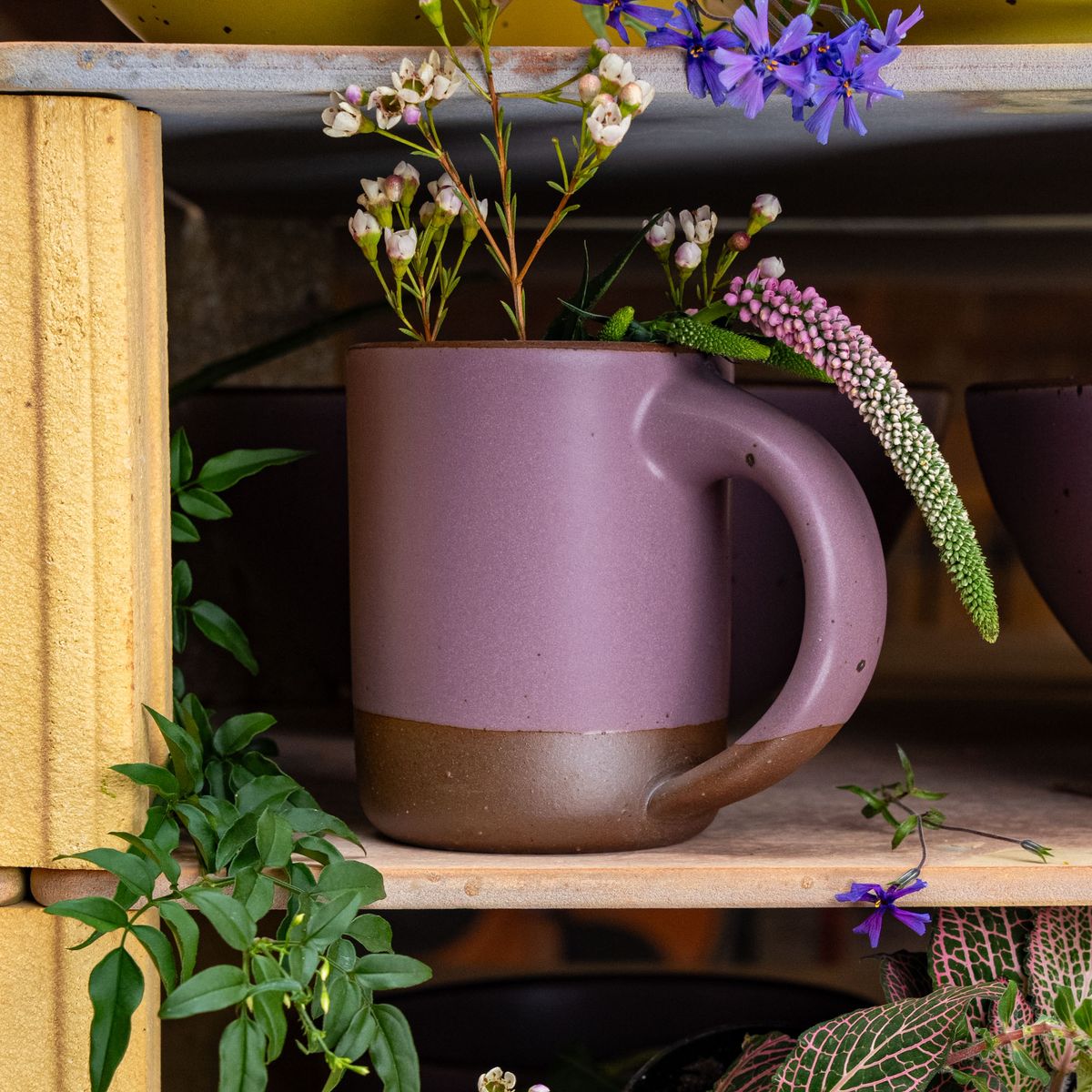 A medium sized ceramic mug with handle in a soft mauve purple color featuring iron speckles and unglazed rim, sits on a wood shelf and is surrounded by flowers