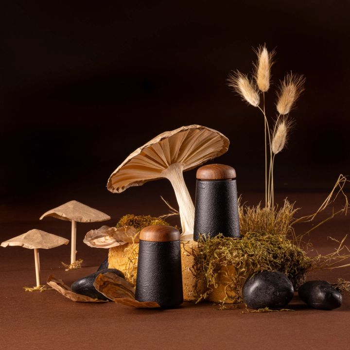 A set of salt and pepper shakers with a black cast iron base with a rounded walnut wood top are styled in a mushroom nature studio setting. The shakers are surrounded by rocks, moss, paper mushroom sculptures, and leaves against a black and brown background.