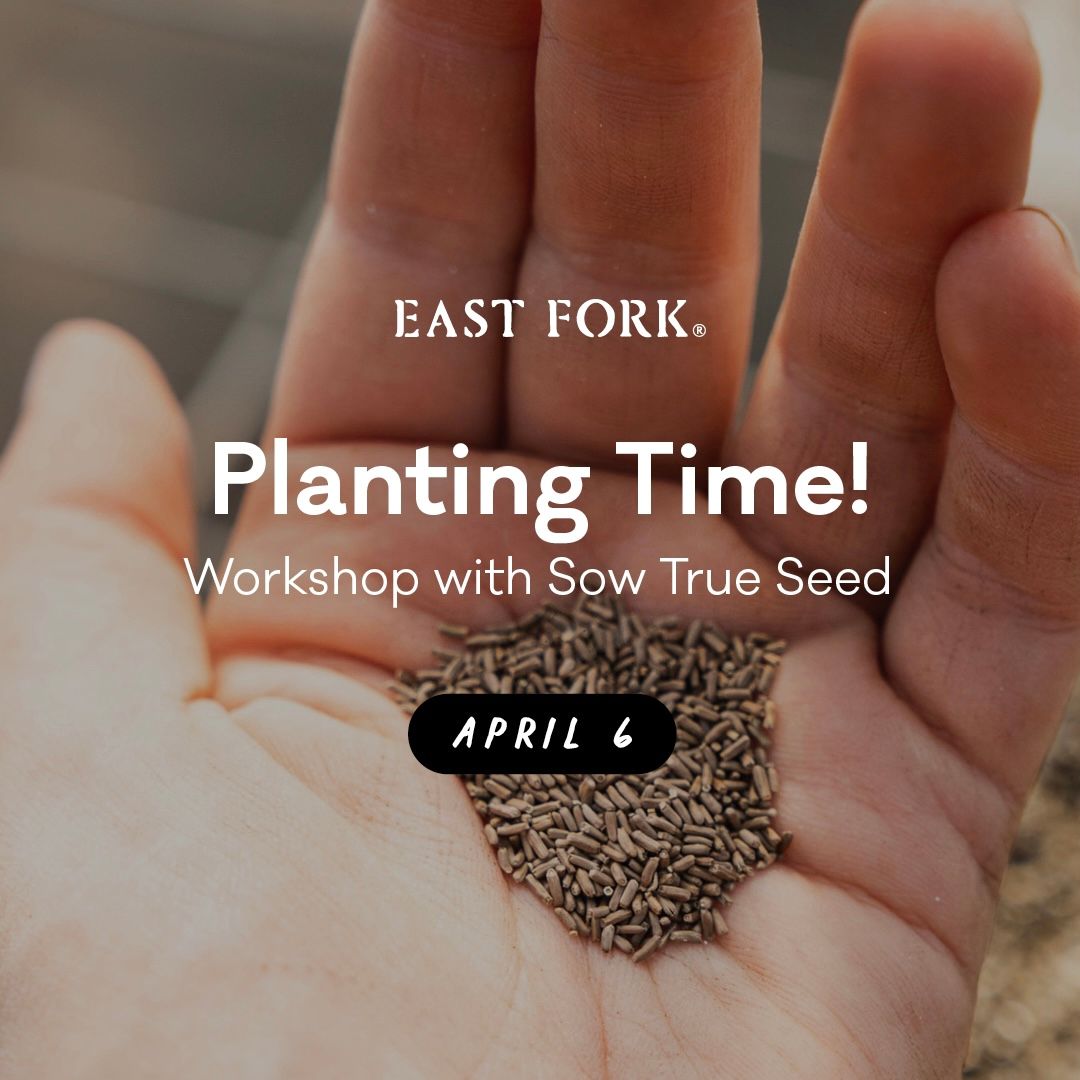 An open hand with seeds and overlay text that reads "East Fork - Planting Time! Workshop with Sow True Seed - April 6"
